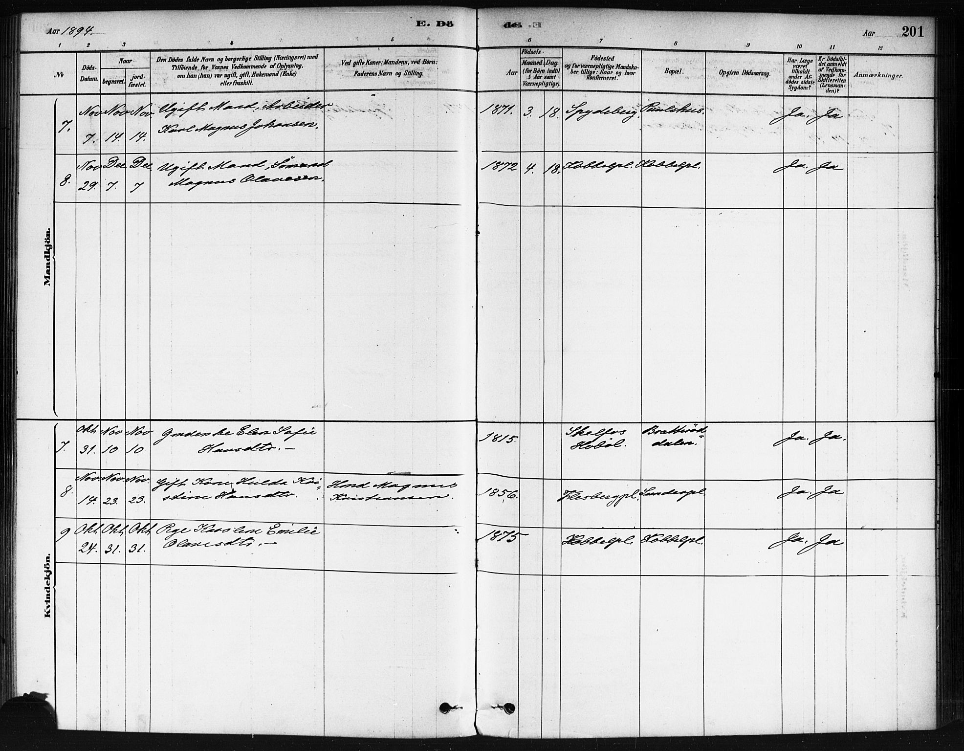 Våler prestekontor Kirkebøker, AV/SAO-A-11083/F/Fa/L0010: Parish register (official) no. I 10, 1878-1896, p. 201