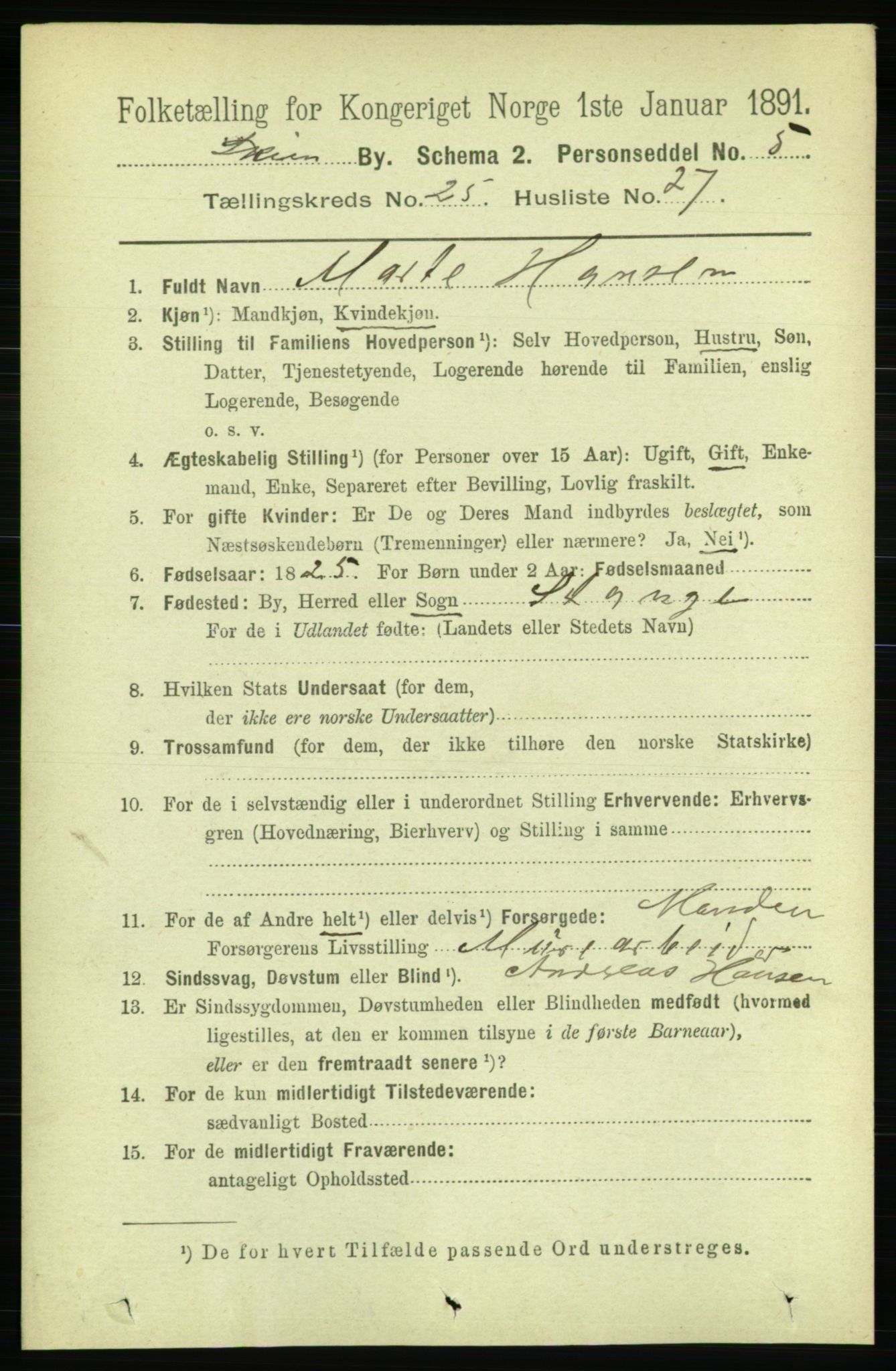 RA, 1891 census for 0806 Skien, 1891, p. 6239