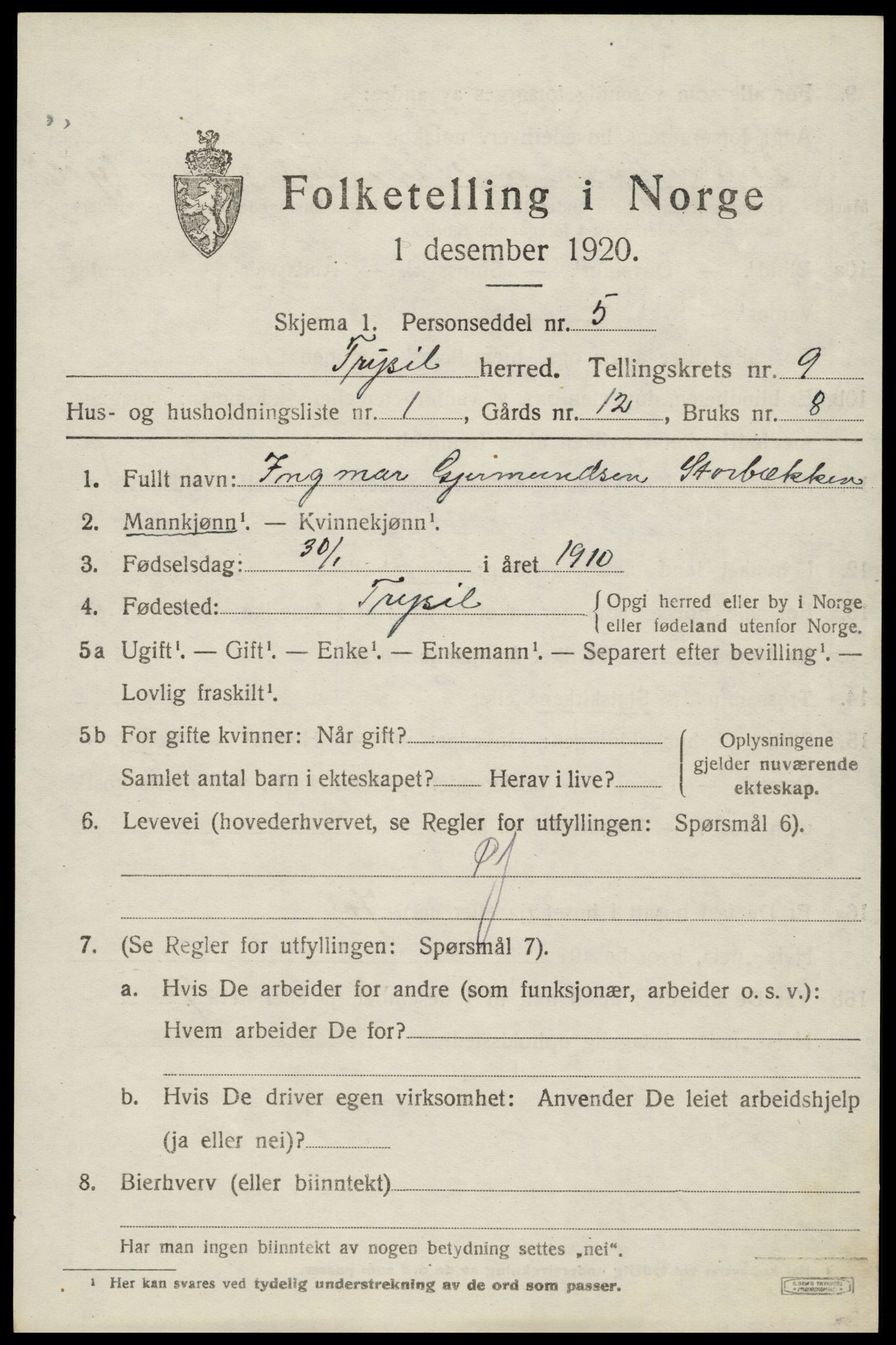 SAH, 1920 census for Trysil, 1920, p. 6563