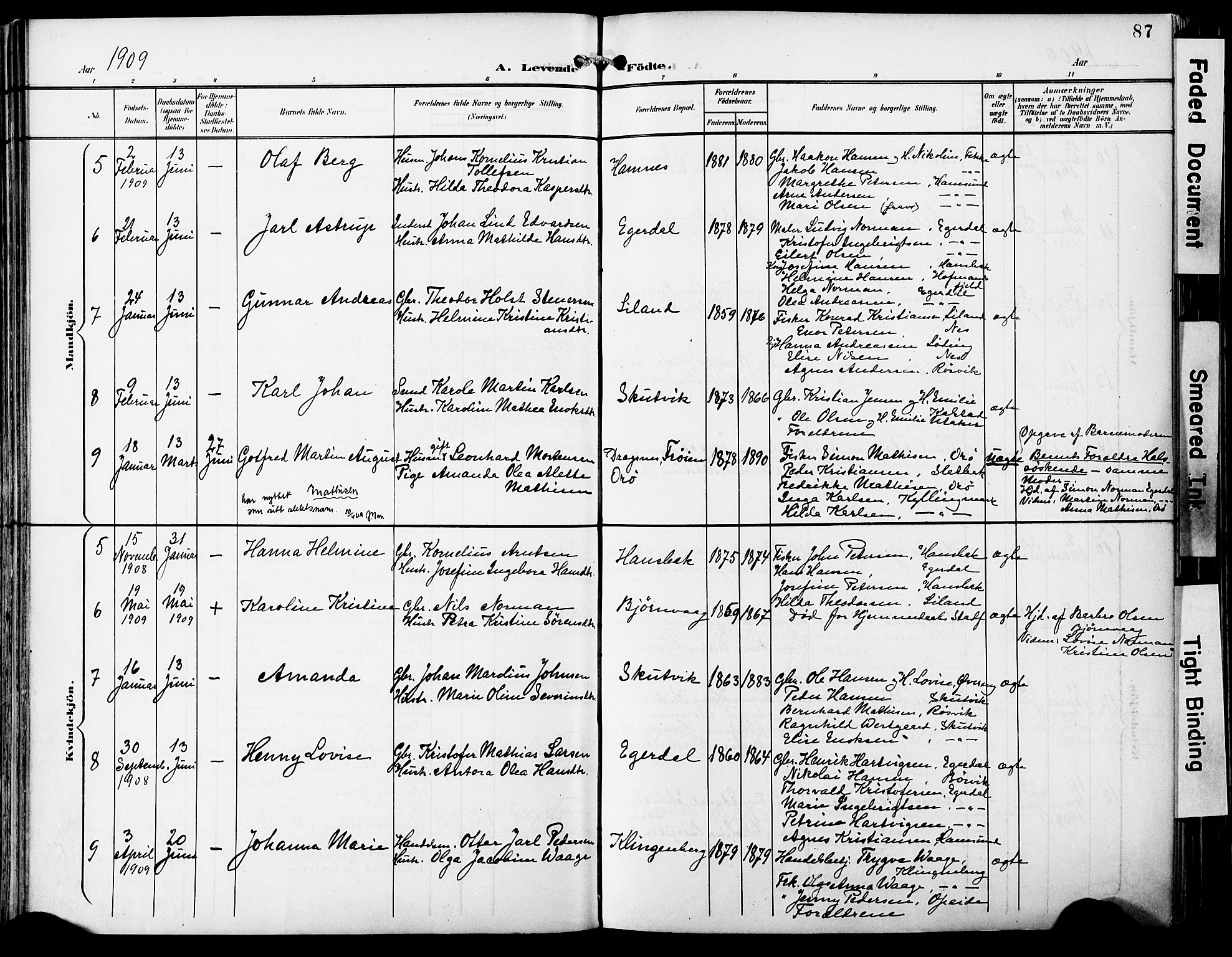 Ministerialprotokoller, klokkerbøker og fødselsregistre - Nordland, AV/SAT-A-1459/859/L0848: Parish register (official) no. 859A08, 1900-1912, p. 87