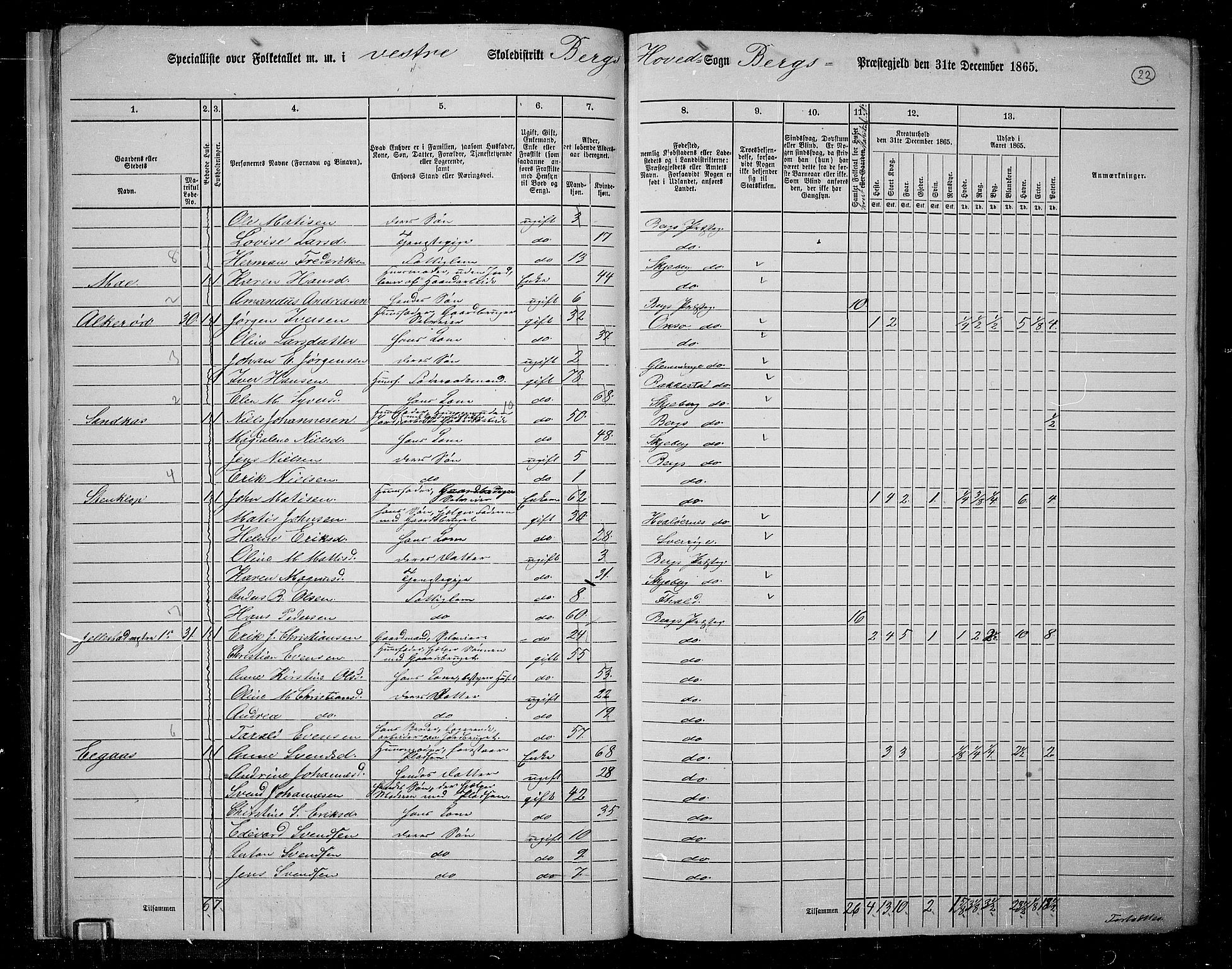 RA, 1865 census for Berg, 1865, p. 22