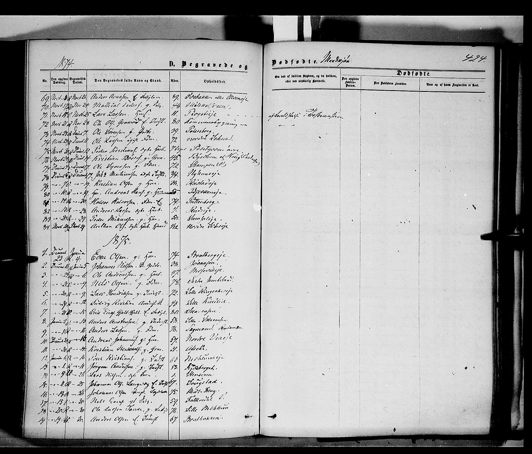 Ringsaker prestekontor, AV/SAH-PREST-014/K/Ka/L0011: Parish register (official) no. 11, 1870-1878, p. 424