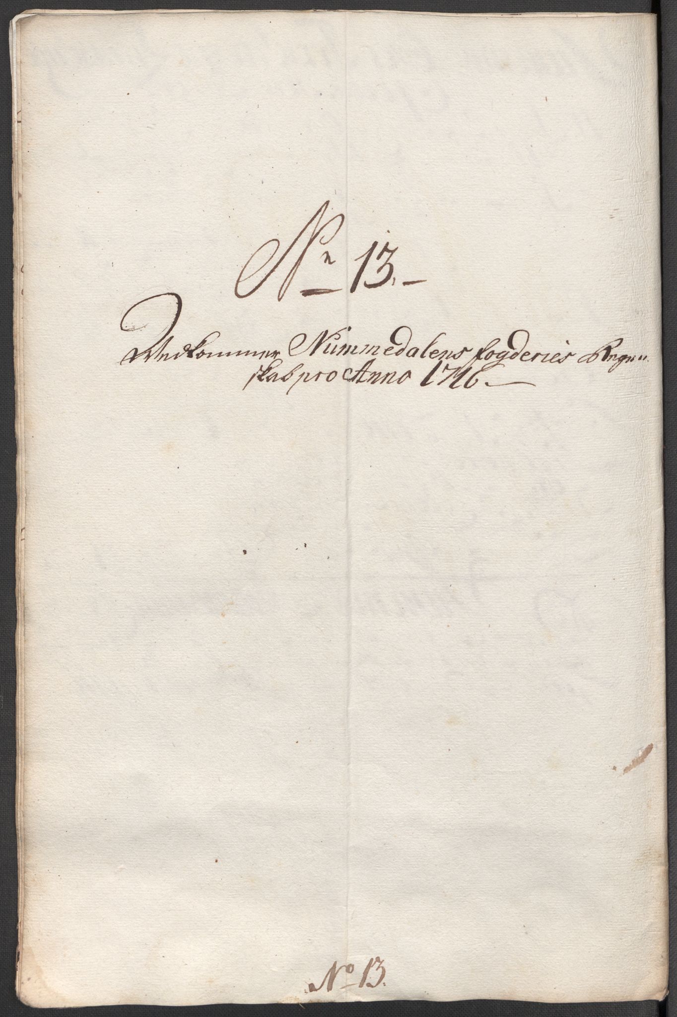 Rentekammeret inntil 1814, Reviderte regnskaper, Fogderegnskap, AV/RA-EA-4092/R64/L4437: Fogderegnskap Namdal, 1716, p. 153