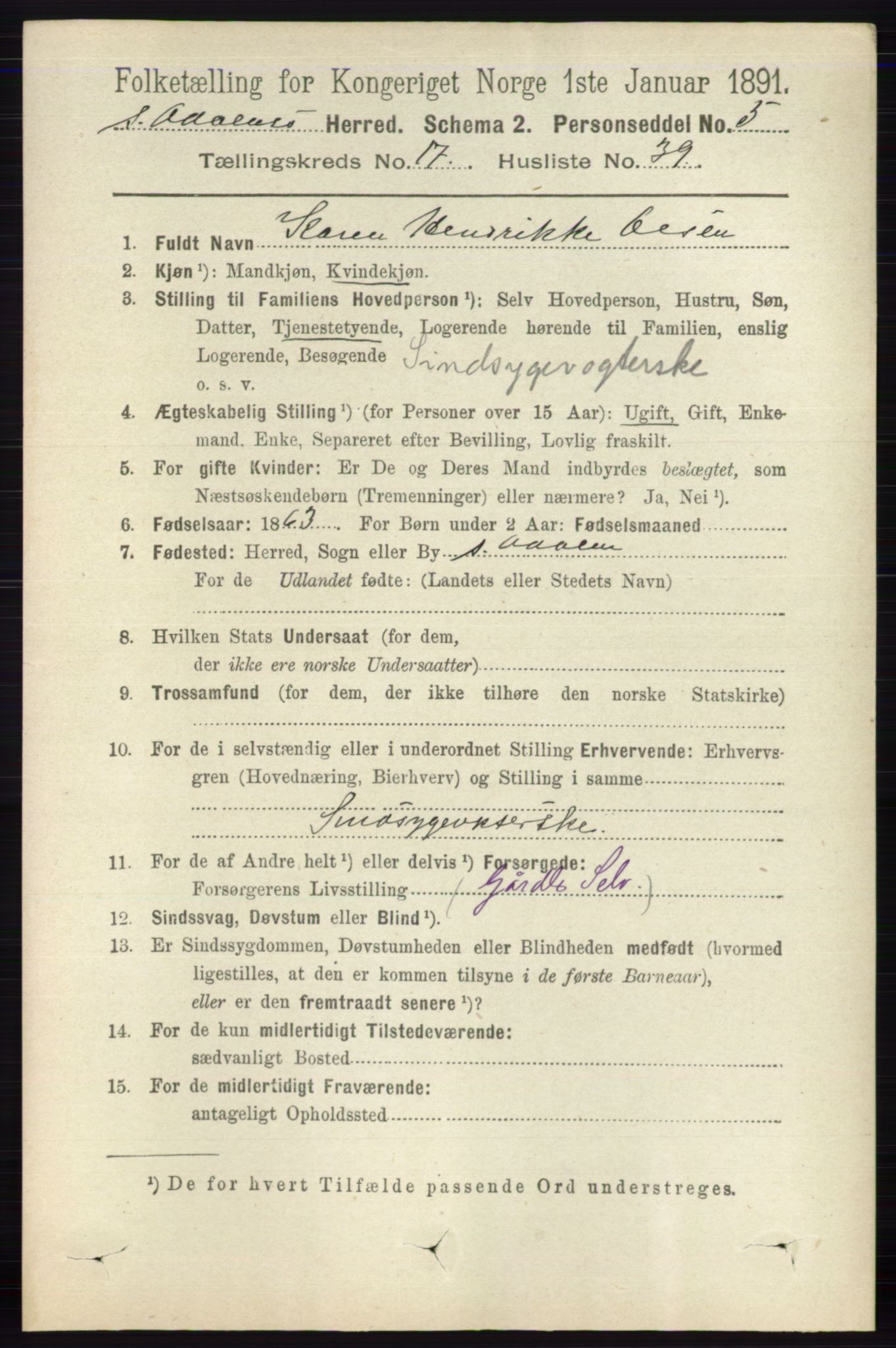 RA, 1891 census for 0419 Sør-Odal, 1891, p. 8099