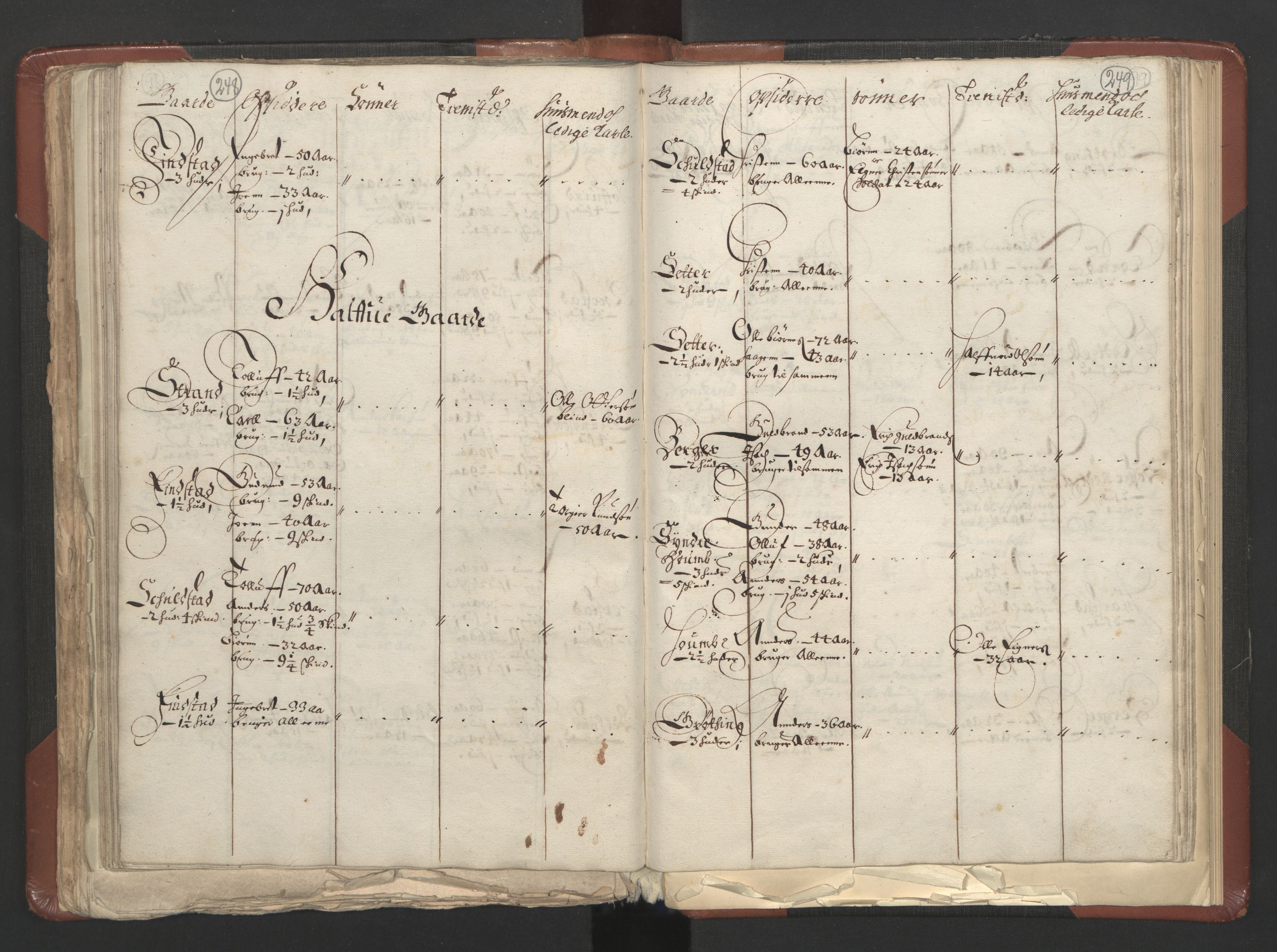 RA, Bailiff's Census 1664-1666, no. 3: Hedmark fogderi and Solør, Østerdal and Odal fogderi, 1664, p. 248-249