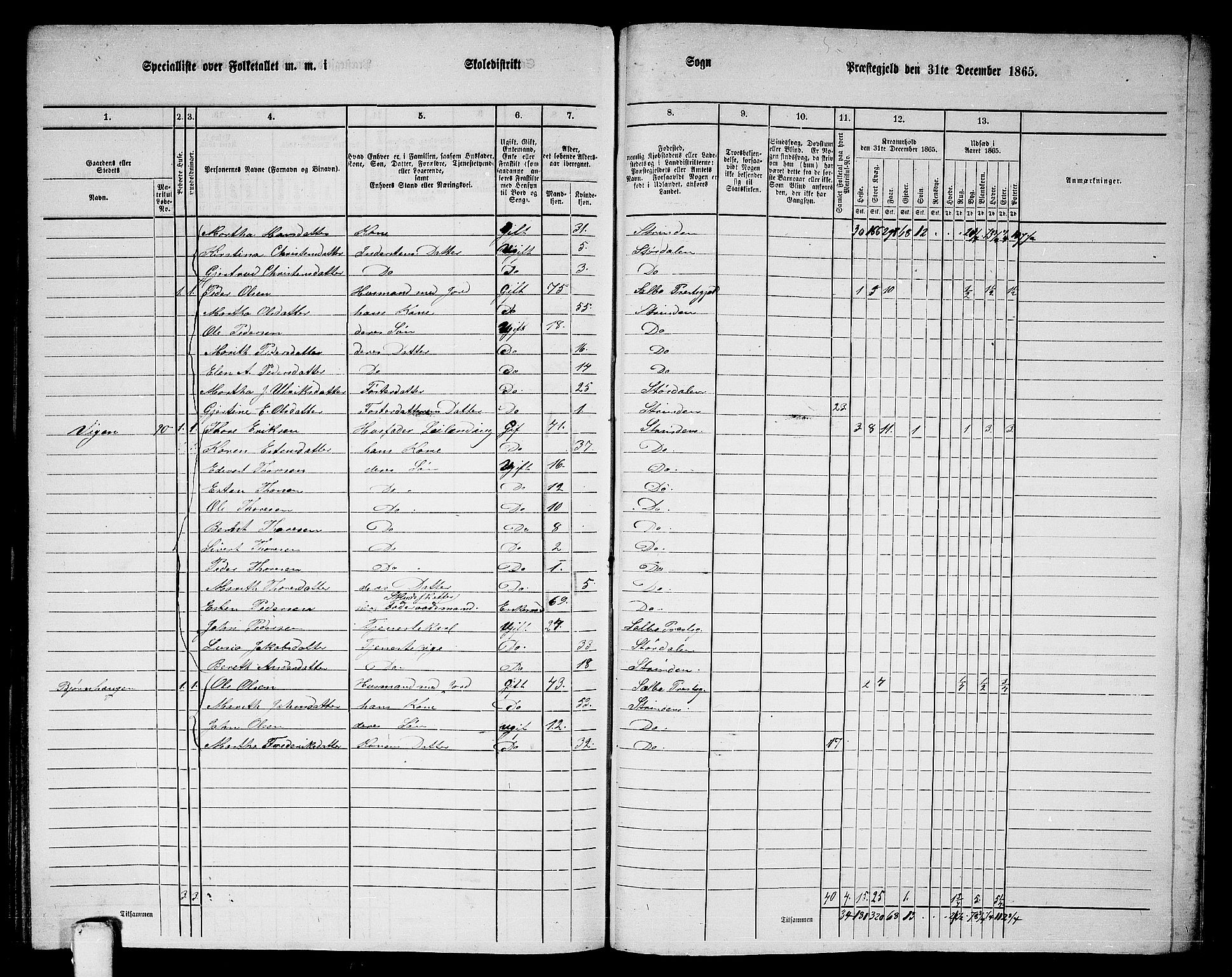 RA, 1865 census for Strinda, 1865, p. 262