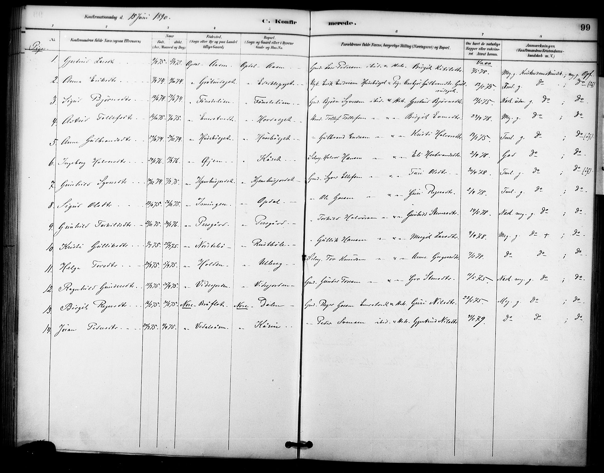 Nore kirkebøker, SAKO/A-238/F/Fc/L0004: Parish register (official) no. III 4, 1885-1898, p. 99