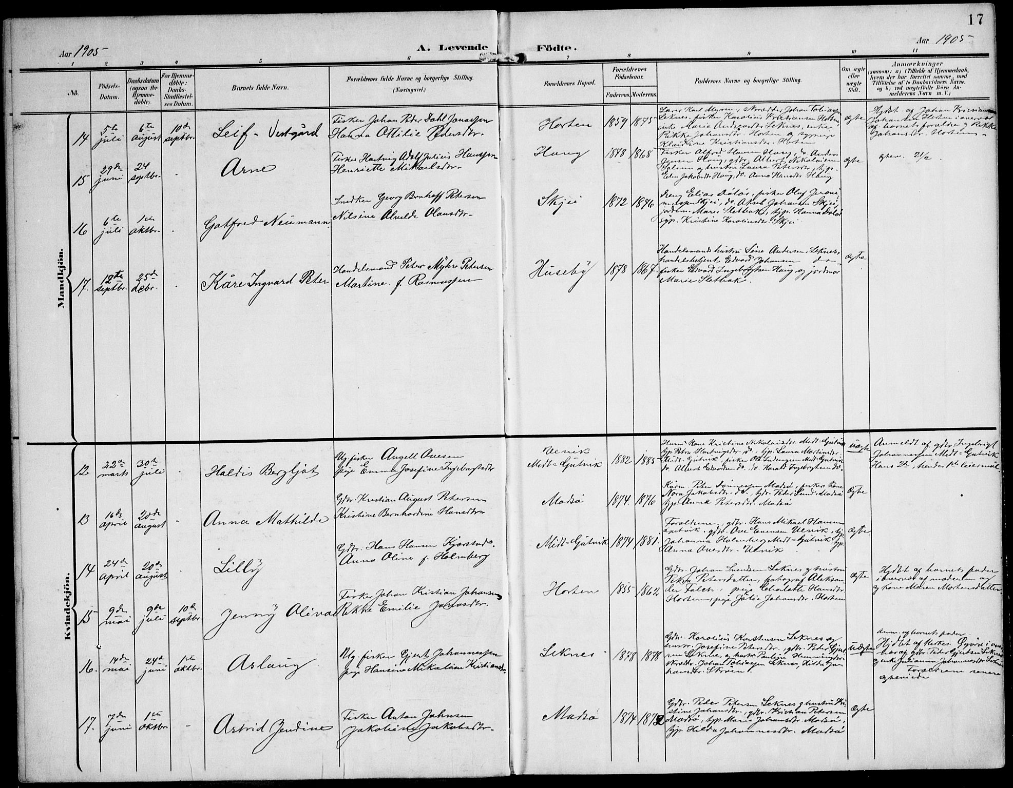 Ministerialprotokoller, klokkerbøker og fødselsregistre - Nord-Trøndelag, SAT/A-1458/788/L0698: Parish register (official) no. 788A05, 1902-1921, p. 17