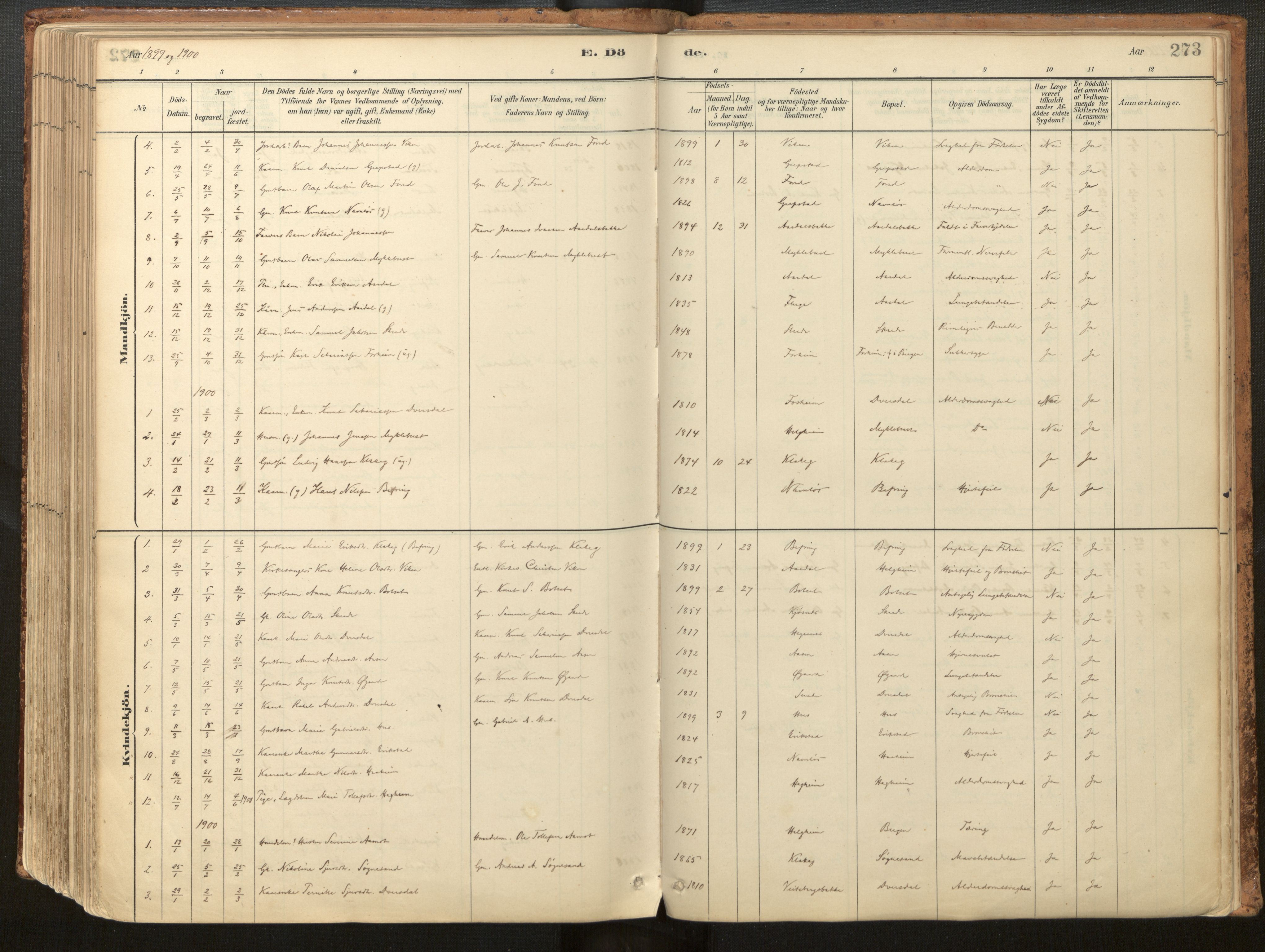 Jølster sokneprestembete, SAB/A-80701/H/Haa/Haac/L0001: Parish register (official) no. C 1, 1882-1928, p. 273