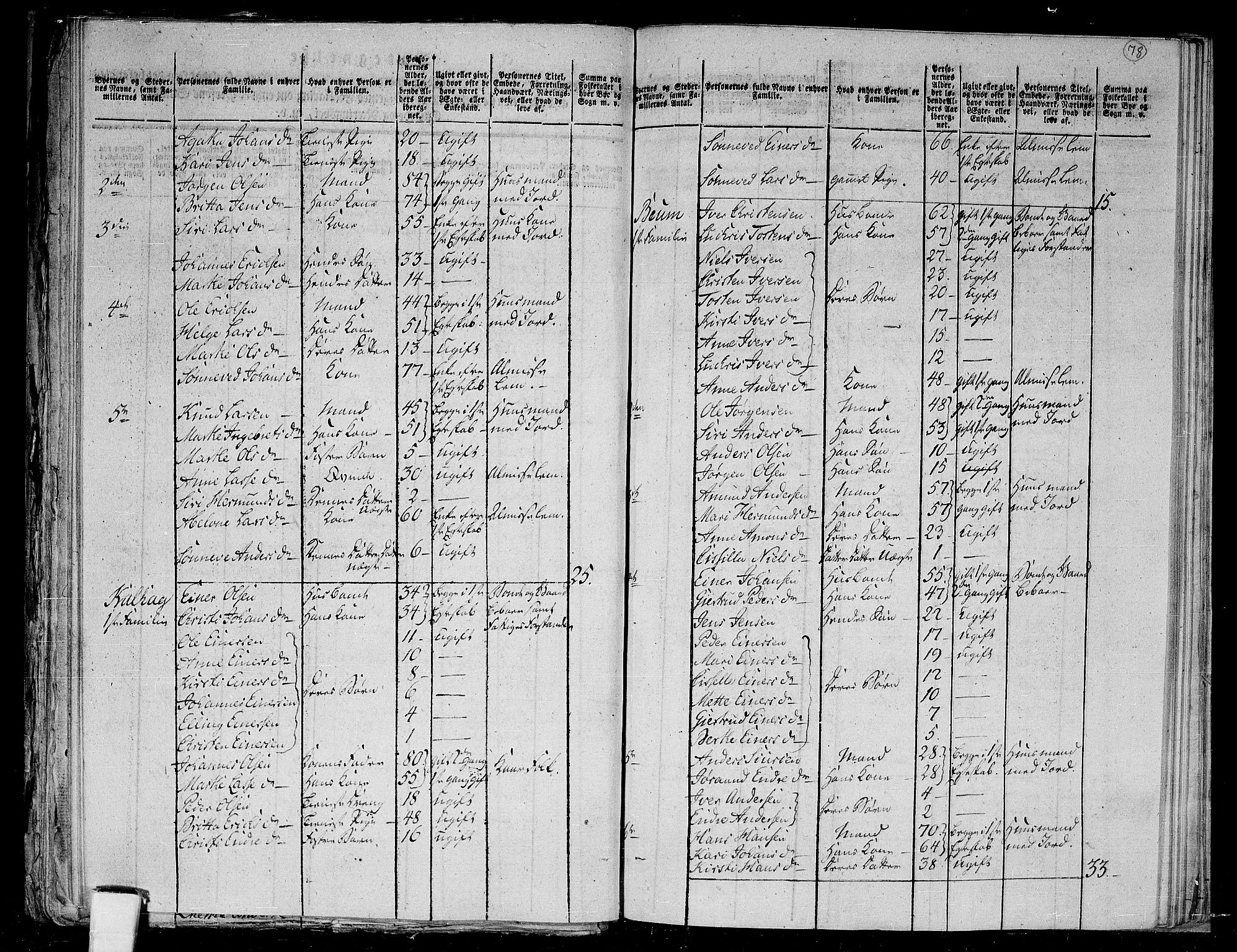 RA, 1801 census for 1425P Hafslo, 1801, p. 77b-78a