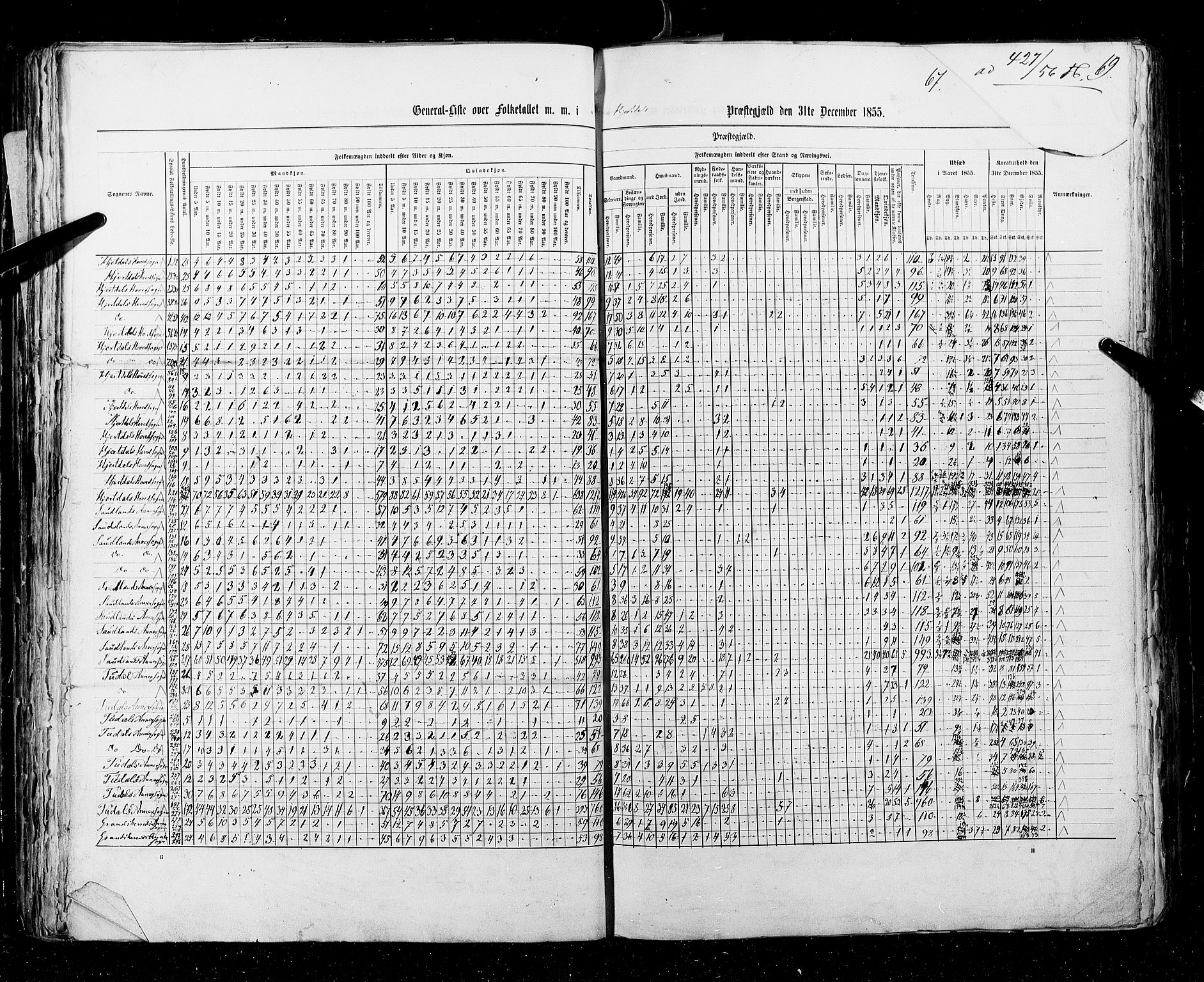 RA, Census 1855, vol. 3: Bratsberg amt, Nedenes amt og Lister og Mandal amt, 1855, p. 67