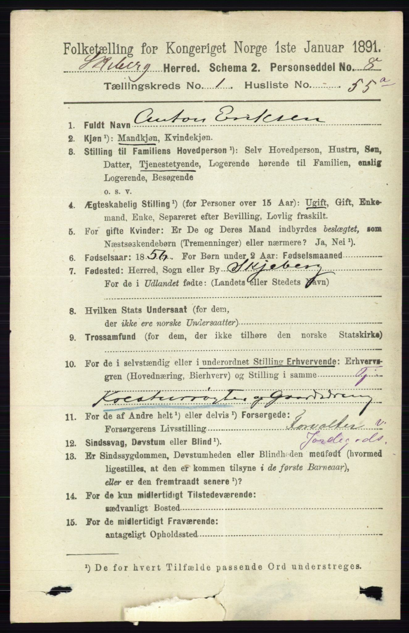 RA, 1891 census for 0115 Skjeberg, 1891, p. 807