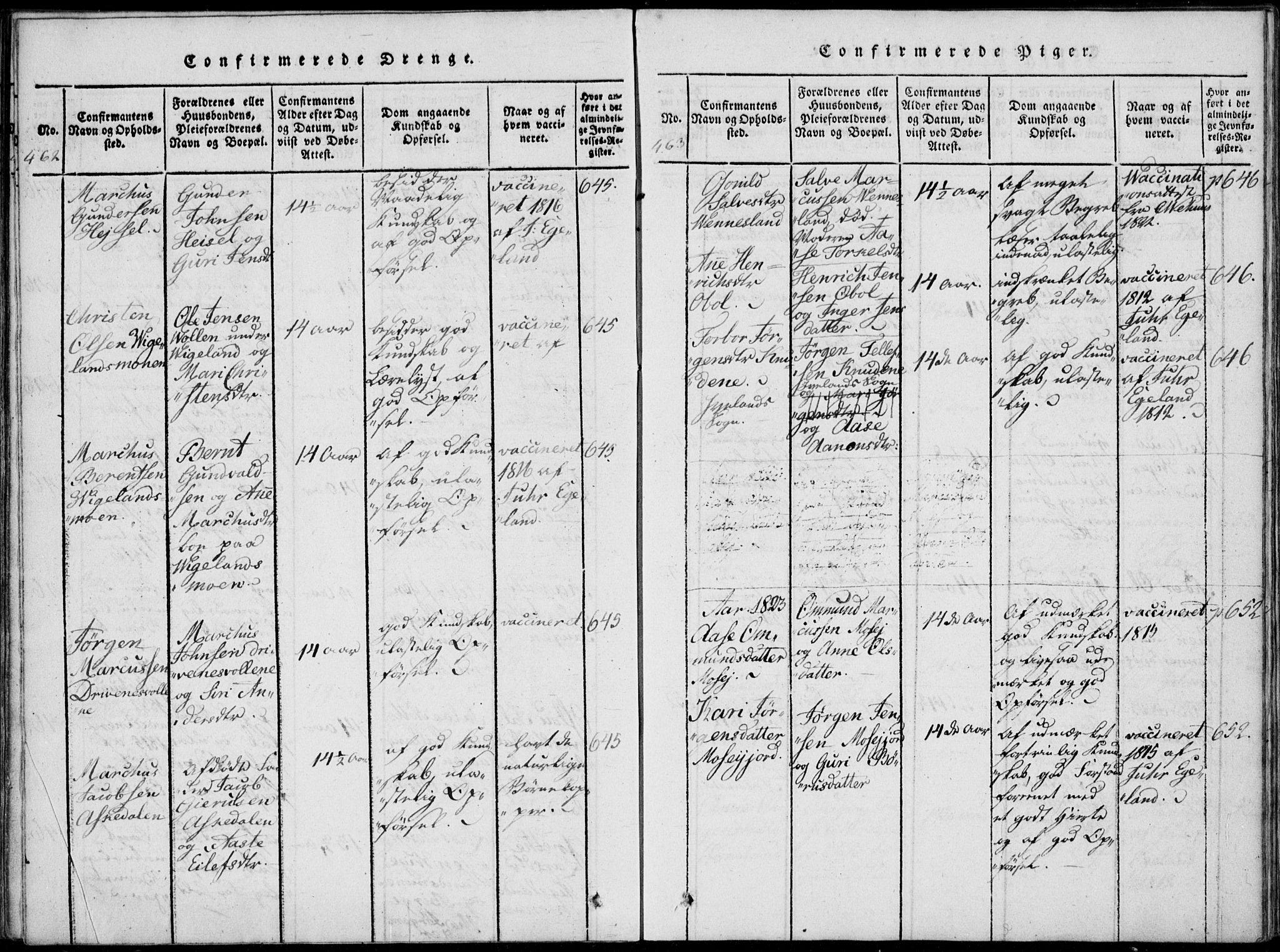 Vennesla sokneprestkontor, SAK/1111-0045/Fa/Fab/L0003: Parish register (official) no. A 3, 1820-1834, p. 462-463