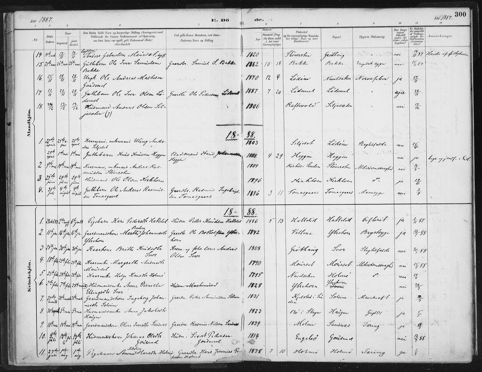 Hornindal sokneprestembete, SAB/A-82401/H/Haa/Haaa/L0003/0002: Parish register (official) no. A 3B, 1885-1917, p. 300