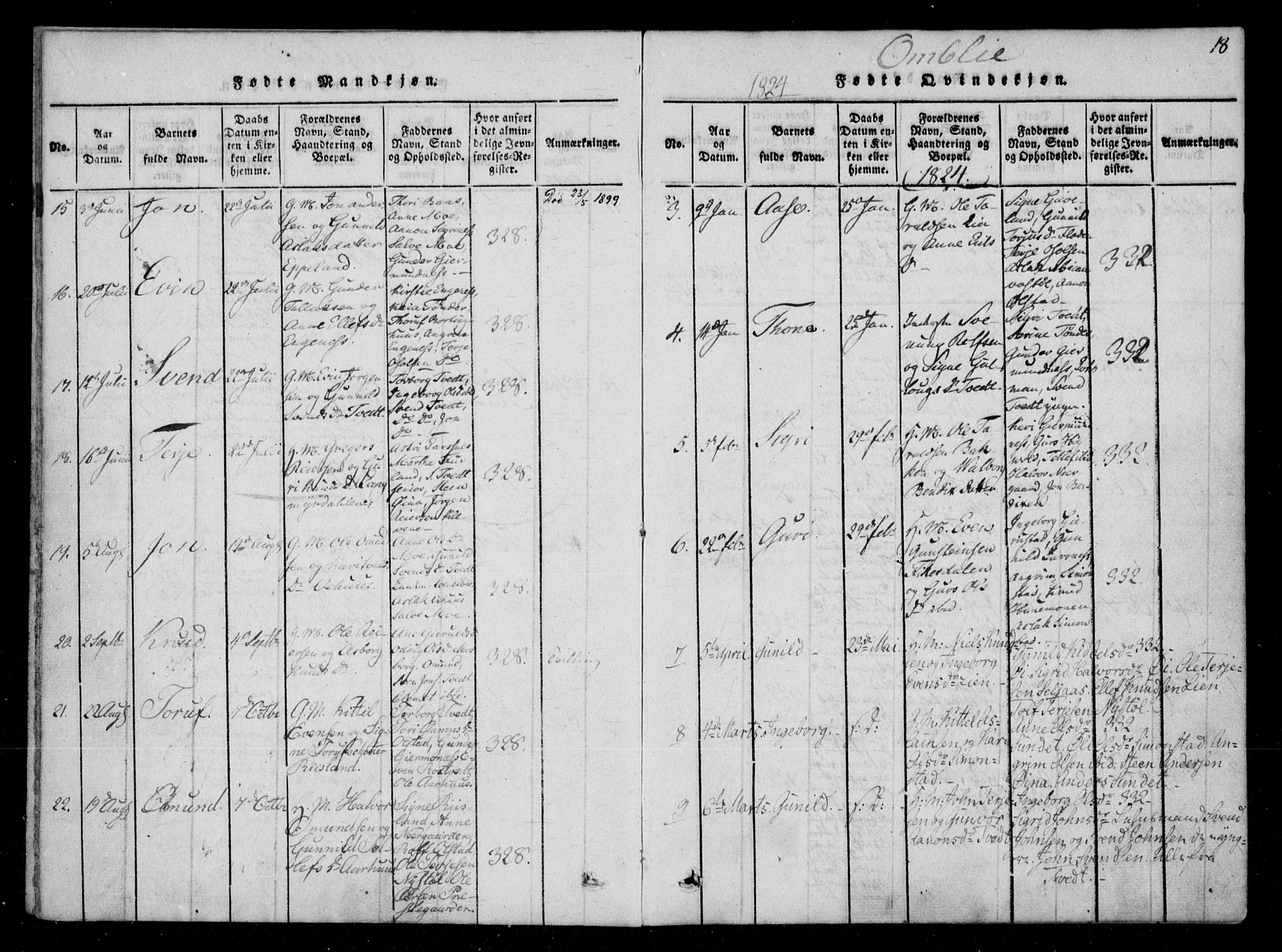 Åmli sokneprestkontor, SAK/1111-0050/F/Fa/Fac/L0006: Parish register (official) no. A 6, 1816-1829, p. 18