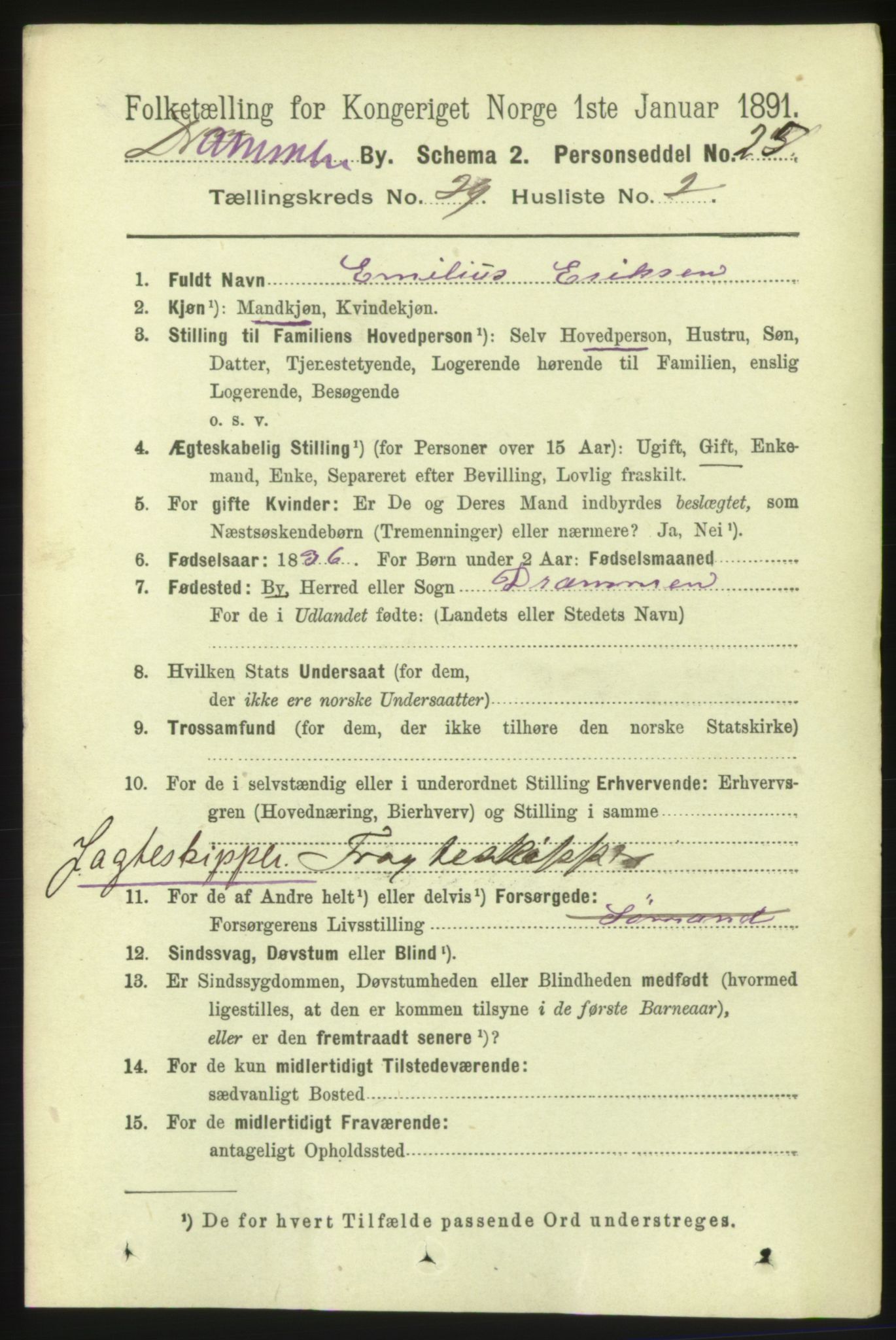 RA, 1891 census for 0602 Drammen, 1891, p. 17429