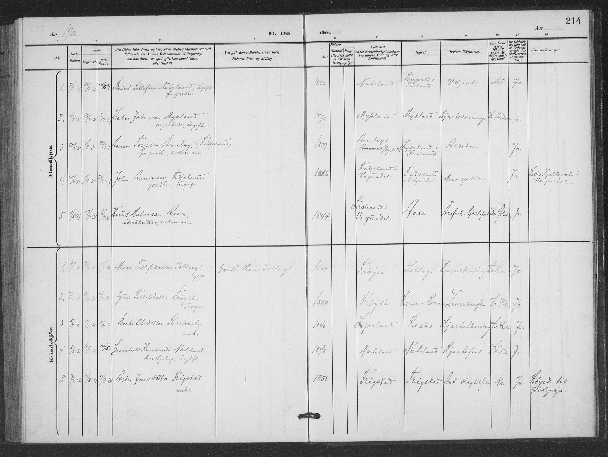 Evje sokneprestkontor, AV/SAK-1111-0008/F/Fb/Fbc/L0005: Parish register (copy) no. B 5, 1901-1935, p. 214