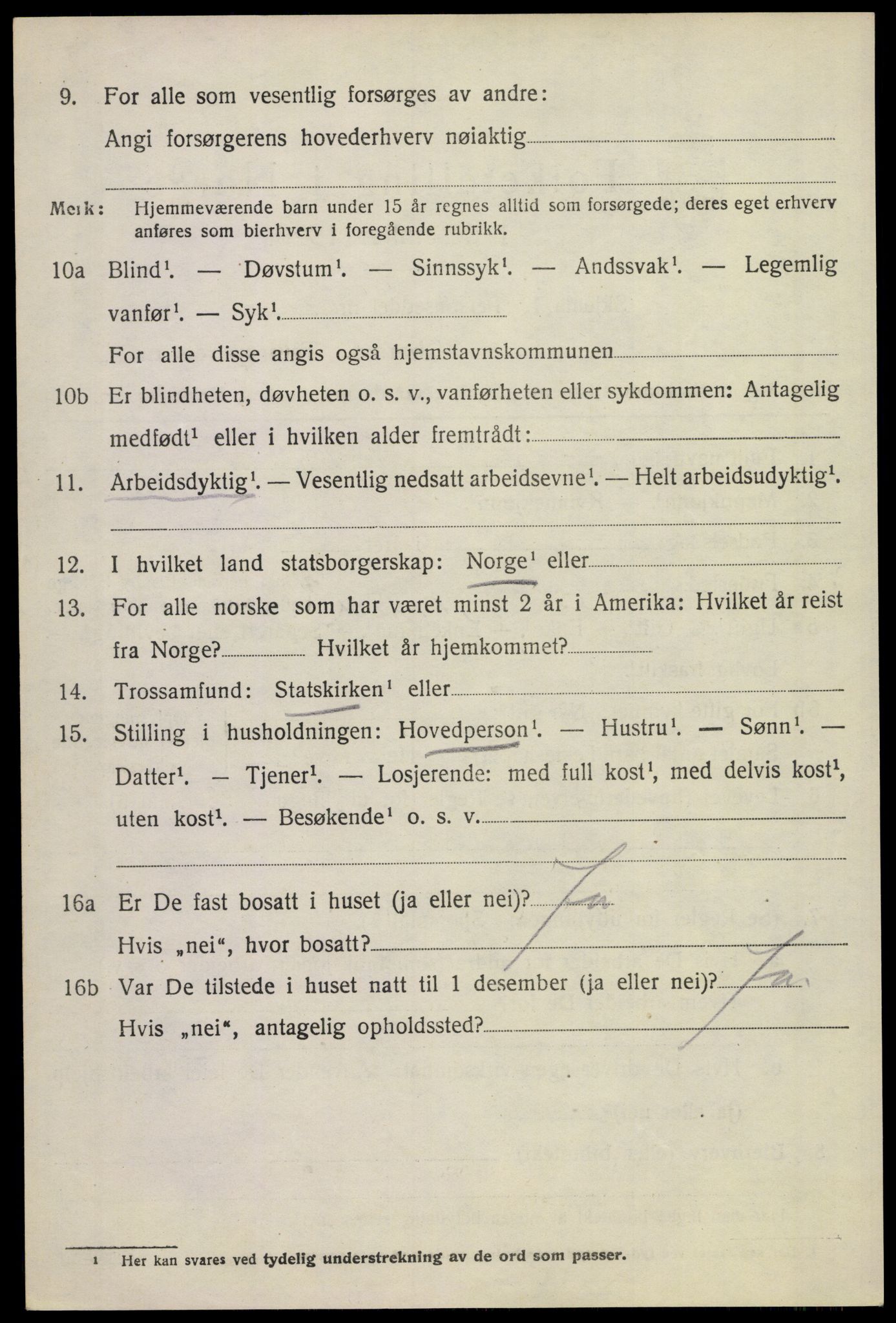SAKO, 1920 census for Borre, 1920, p. 6219