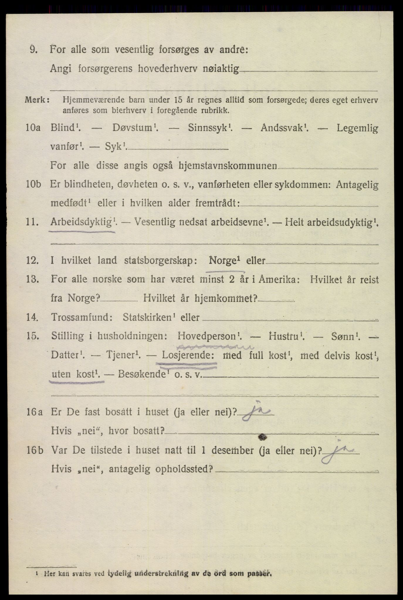 SAK, 1920 census for Hornnes, 1920, p. 3262