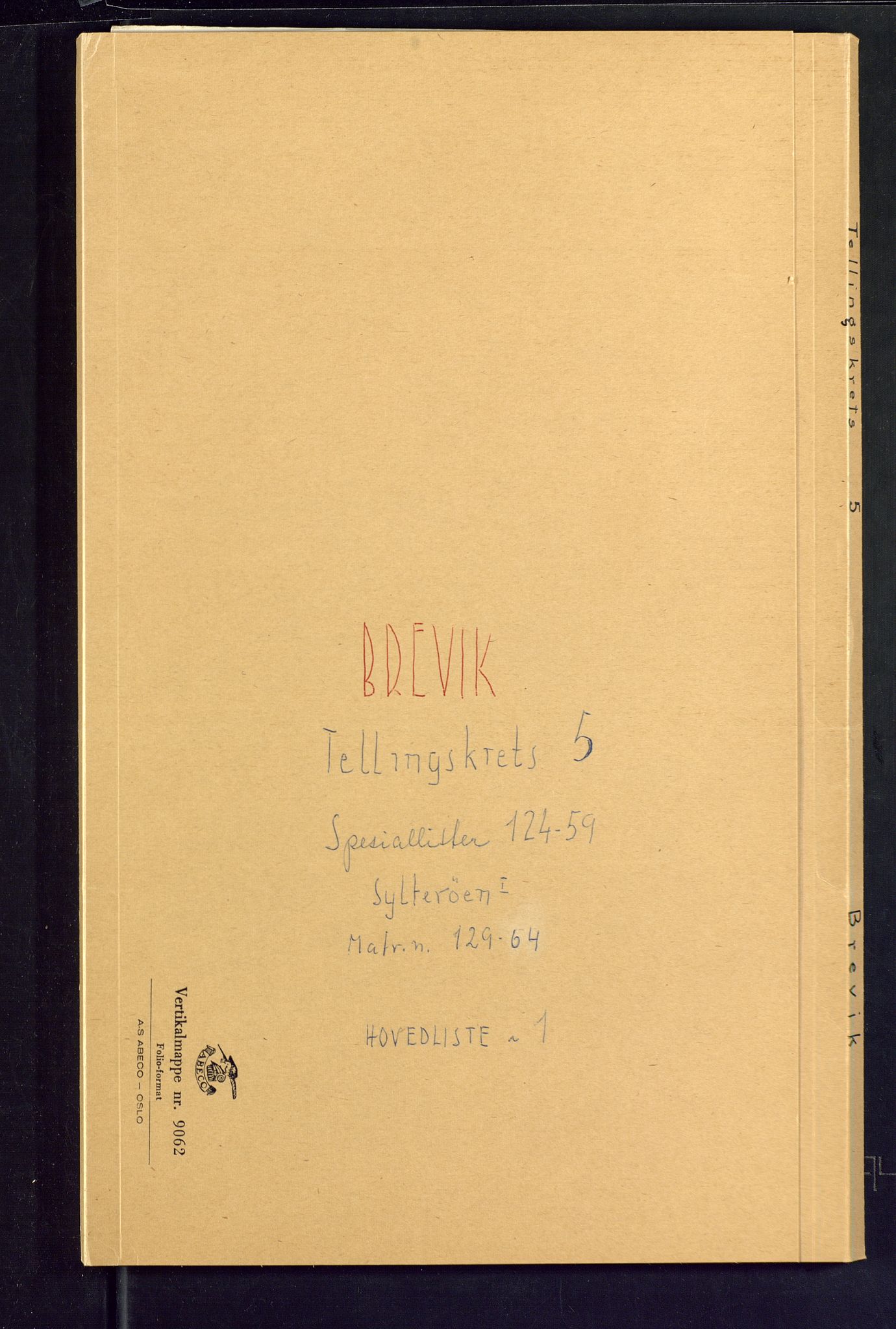 SAKO, 1875 census for 0804P Brevik, 1875, p. 11