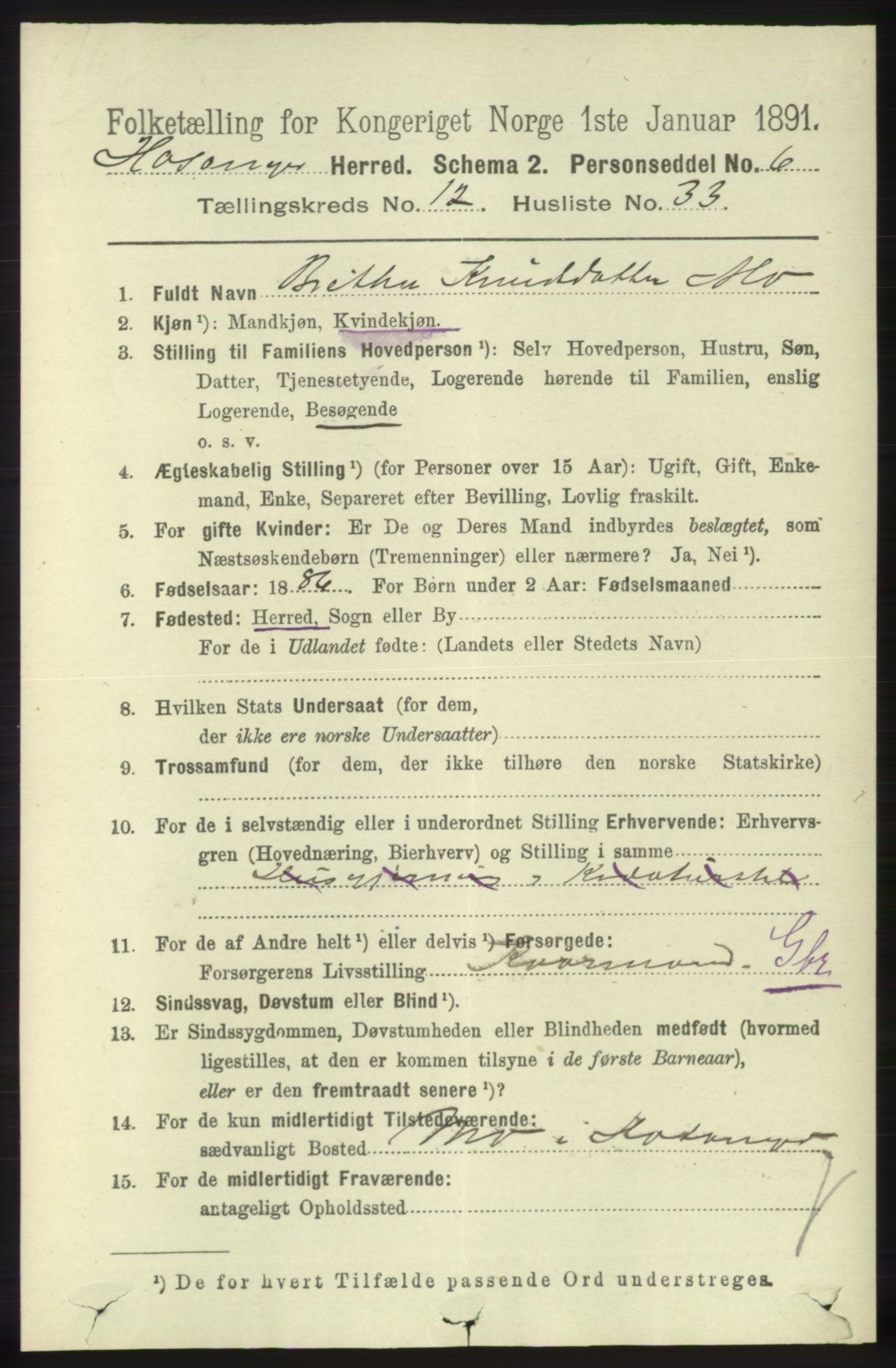 RA, 1891 census for 1253 Hosanger, 1891, p. 4268