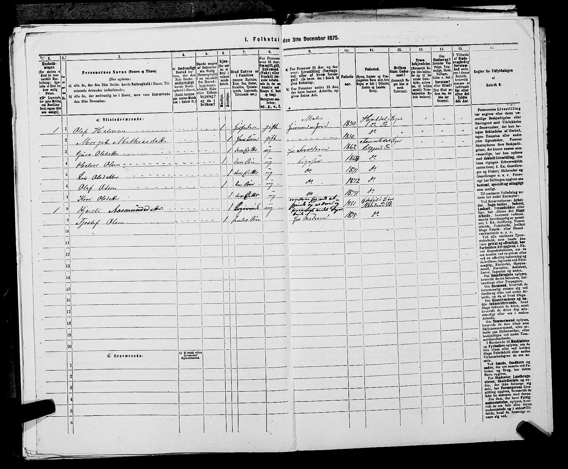 SAKO, 1875 census for 0828P Seljord, 1875, p. 1245