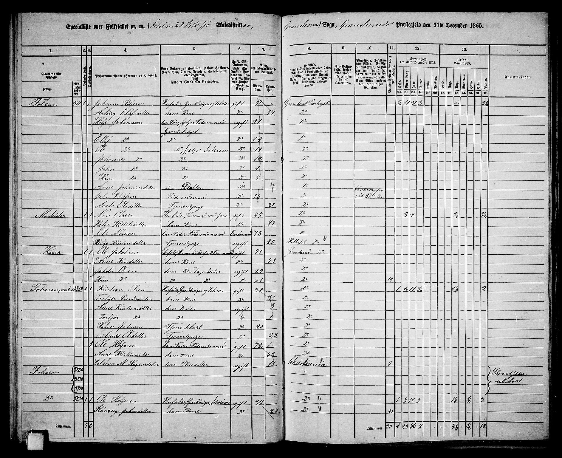 RA, 1865 census for Gransherad, 1865, p. 49