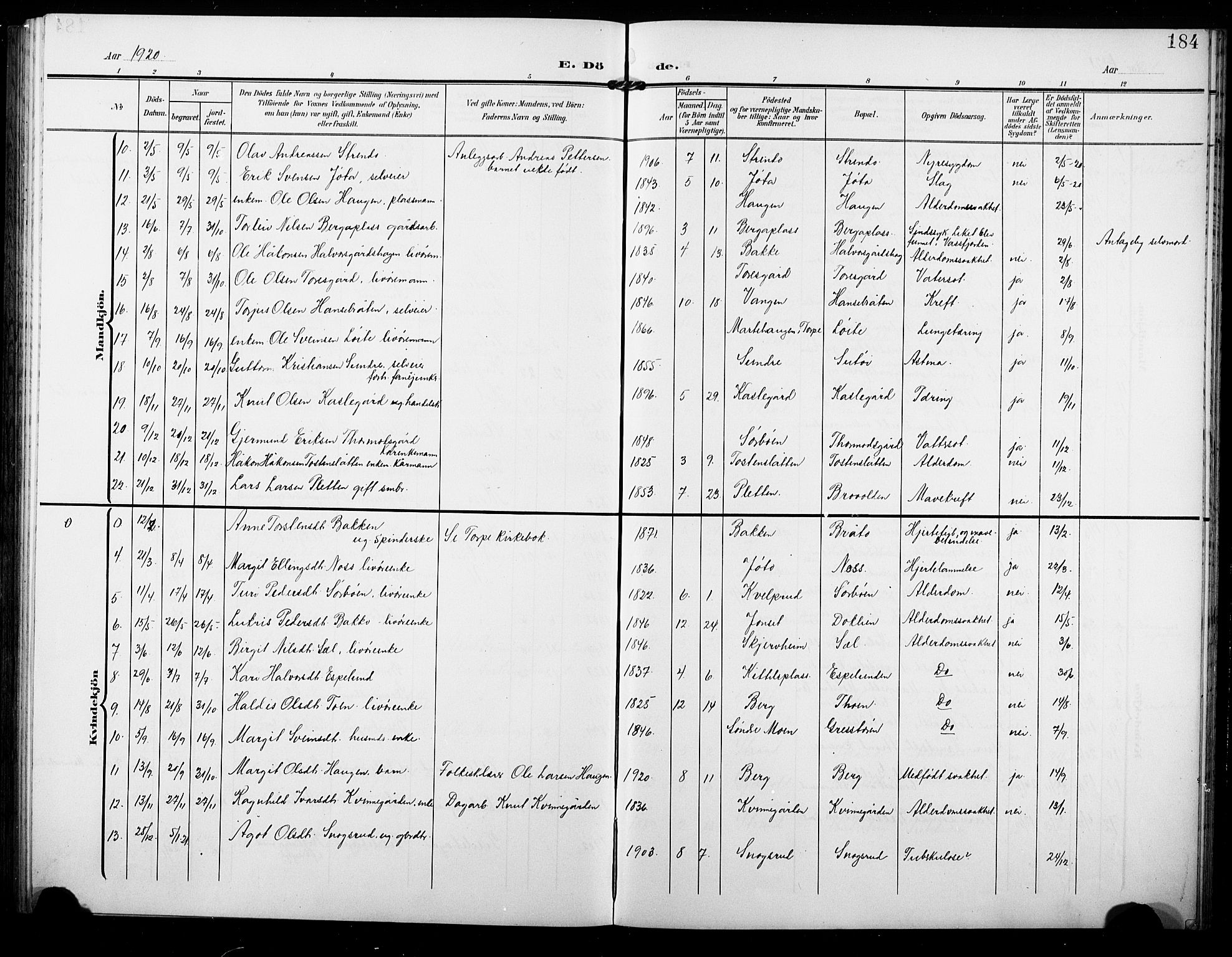 Ål kirkebøker, AV/SAKO-A-249/G/Ga/L0002: Parish register (copy) no. 2, 1904-1928, p. 184