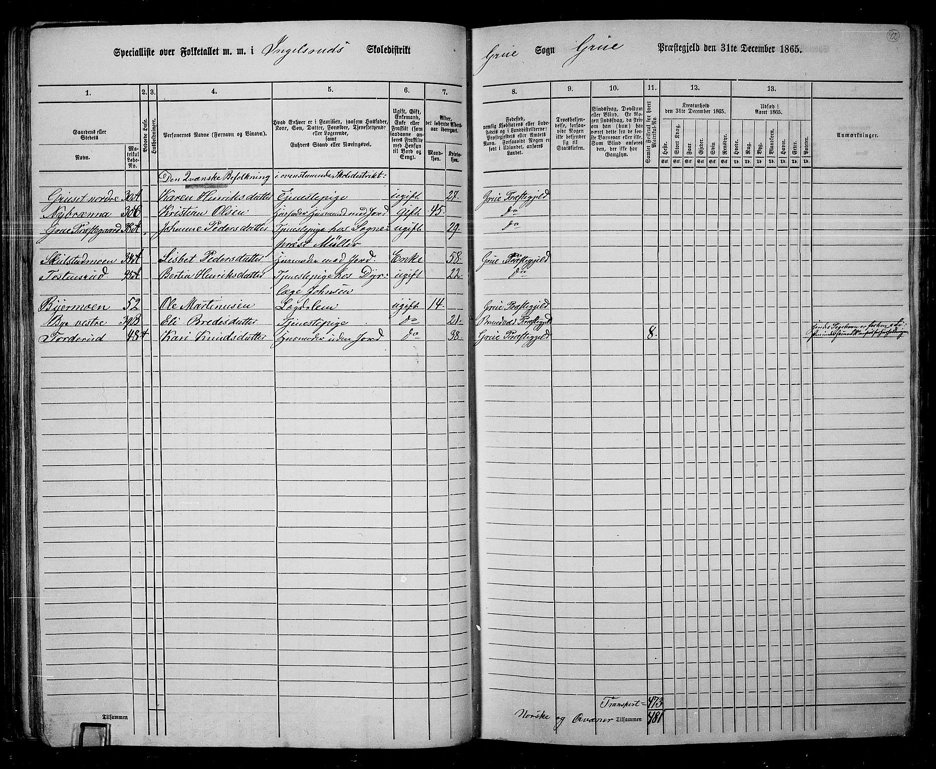 RA, 1865 census for Grue, 1865, p. 82