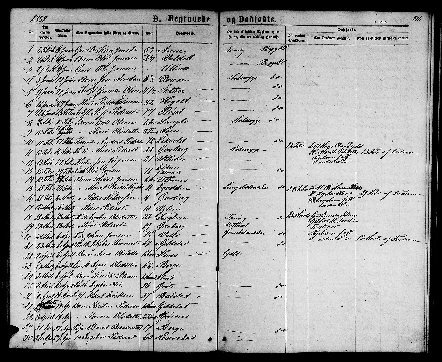 Ministerialprotokoller, klokkerbøker og fødselsregistre - Sør-Trøndelag, SAT/A-1456/695/L1156: Parish register (copy) no. 695C07, 1869-1888, p. 346
