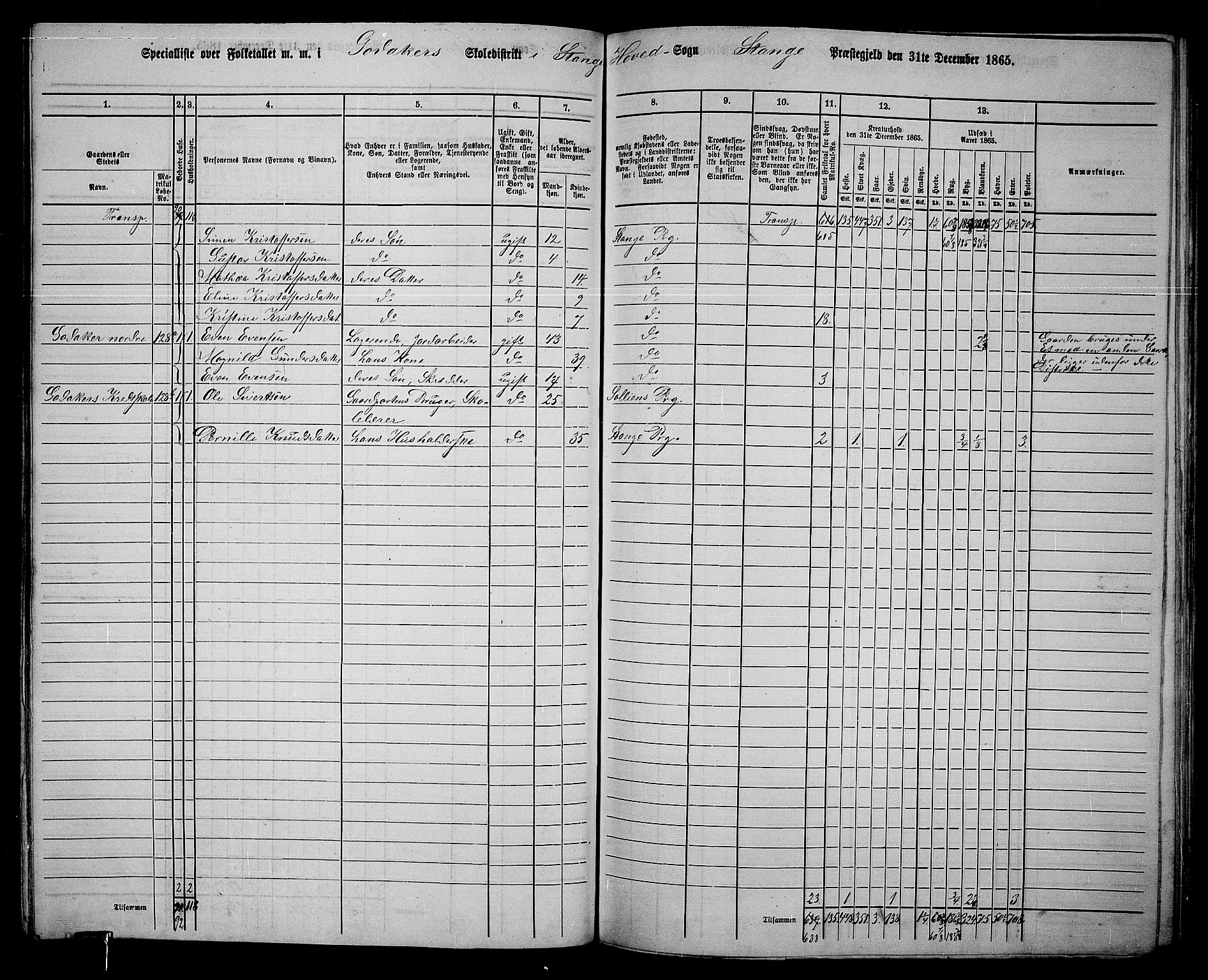 RA, 1865 census for Stange, 1865, p. 102