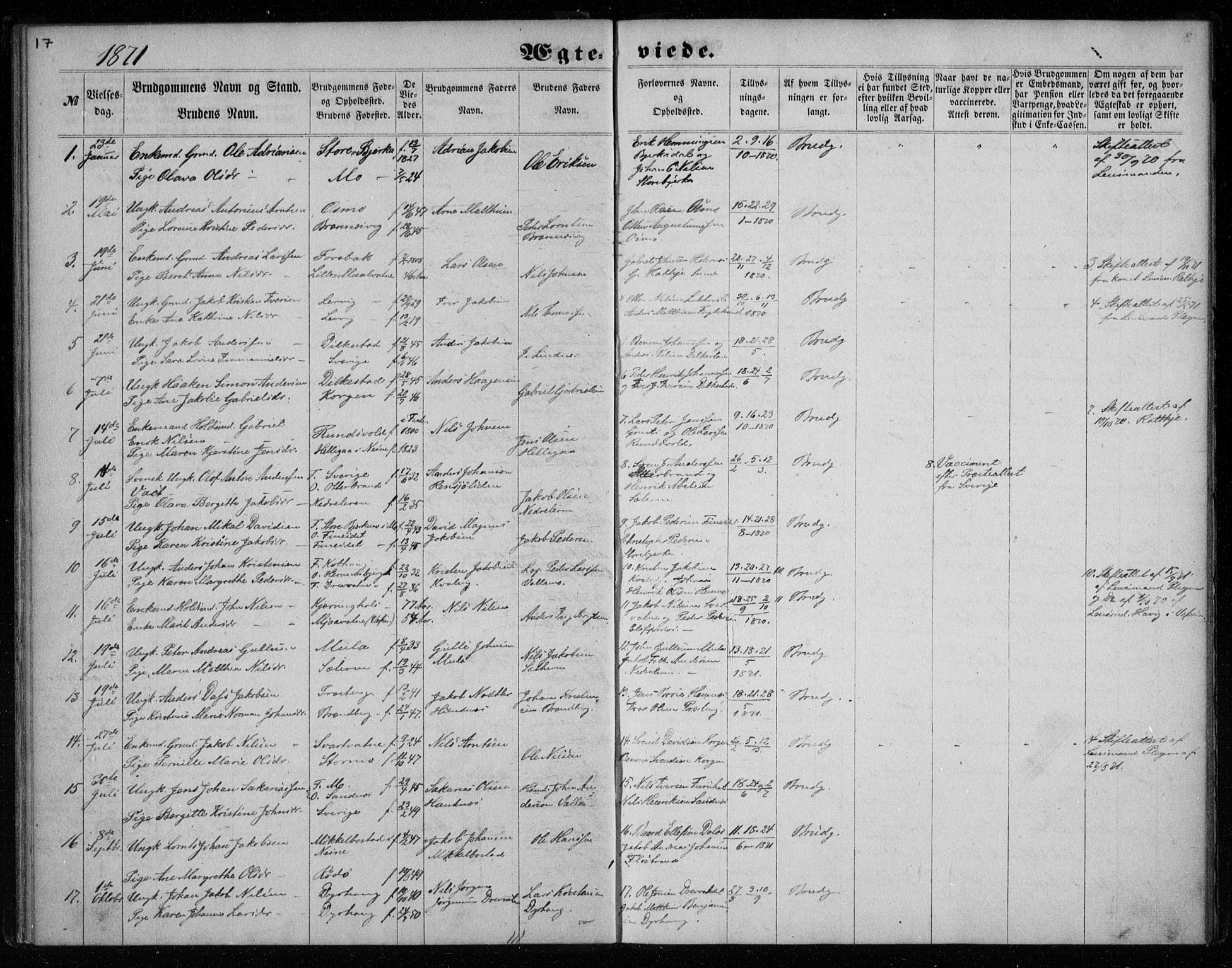 Ministerialprotokoller, klokkerbøker og fødselsregistre - Nordland, AV/SAT-A-1459/825/L0358: Parish register (official) no. 825A12, 1863-1878, p. 17