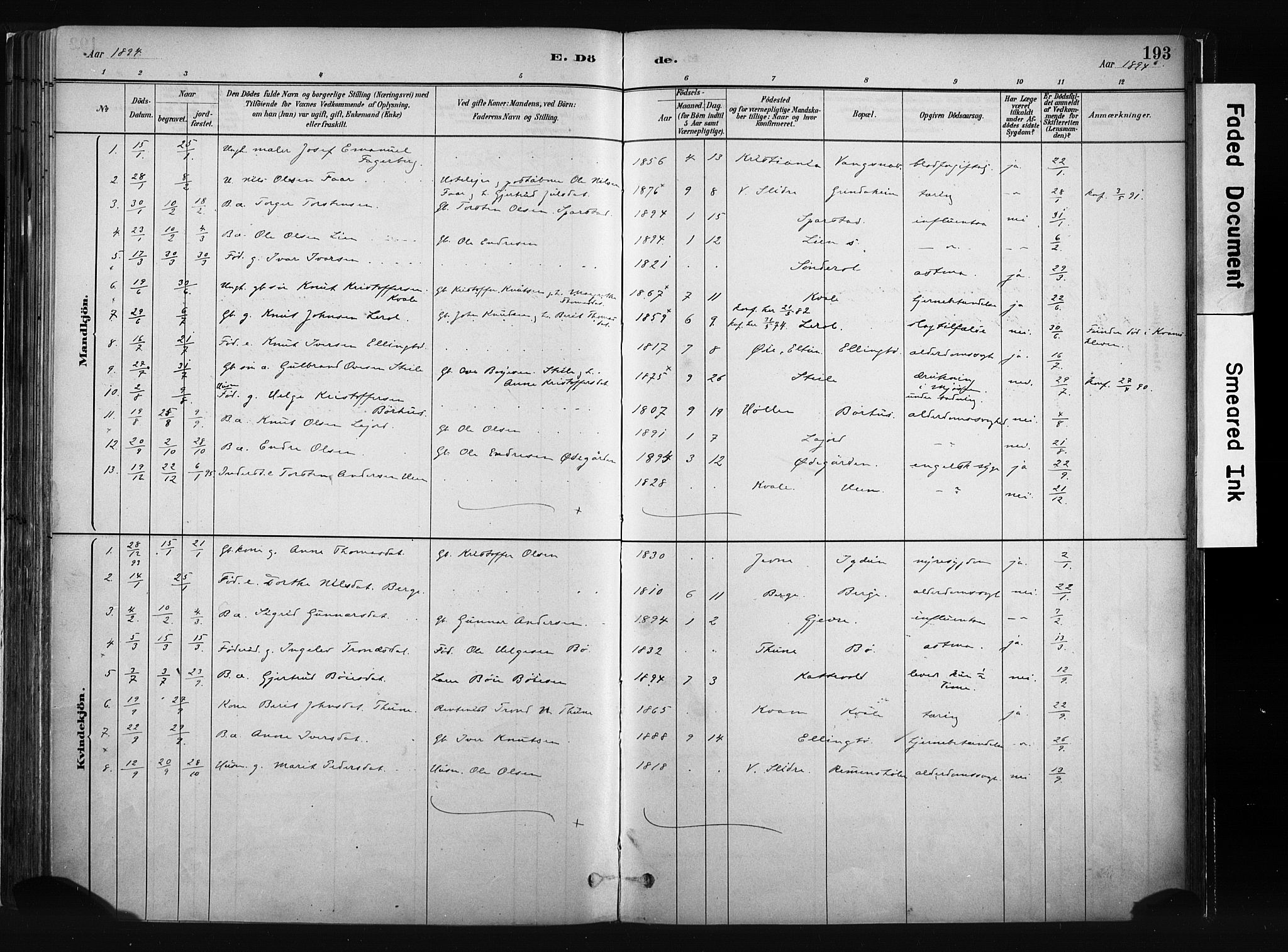 Vang prestekontor, Valdres, SAH/PREST-140/H/Ha/L0008: Parish register (official) no. 8, 1882-1910, p. 193