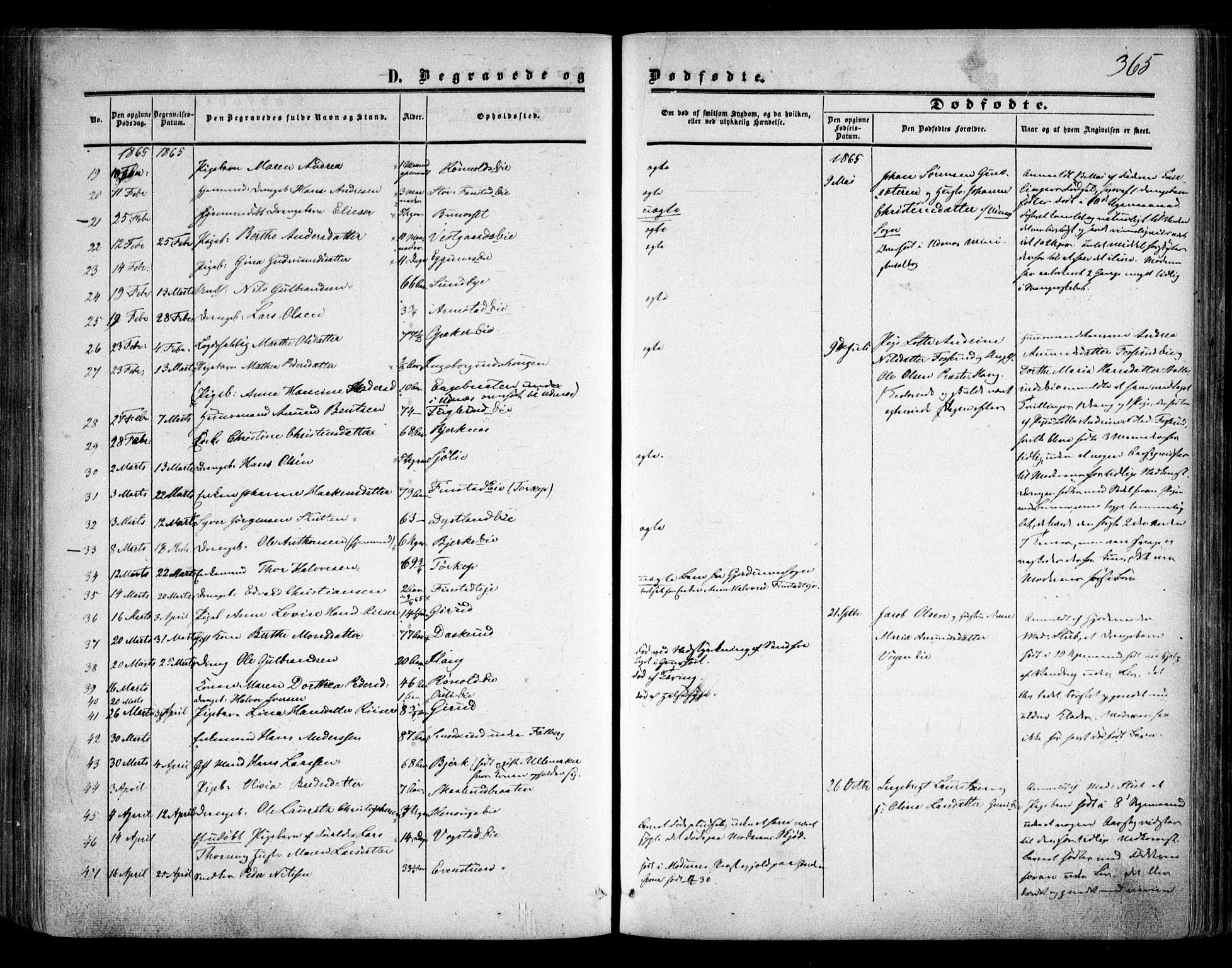 Nes prestekontor Kirkebøker, AV/SAO-A-10410/F/Fa/L0008: Parish register (official) no. I 8, 1859-1874, p. 365