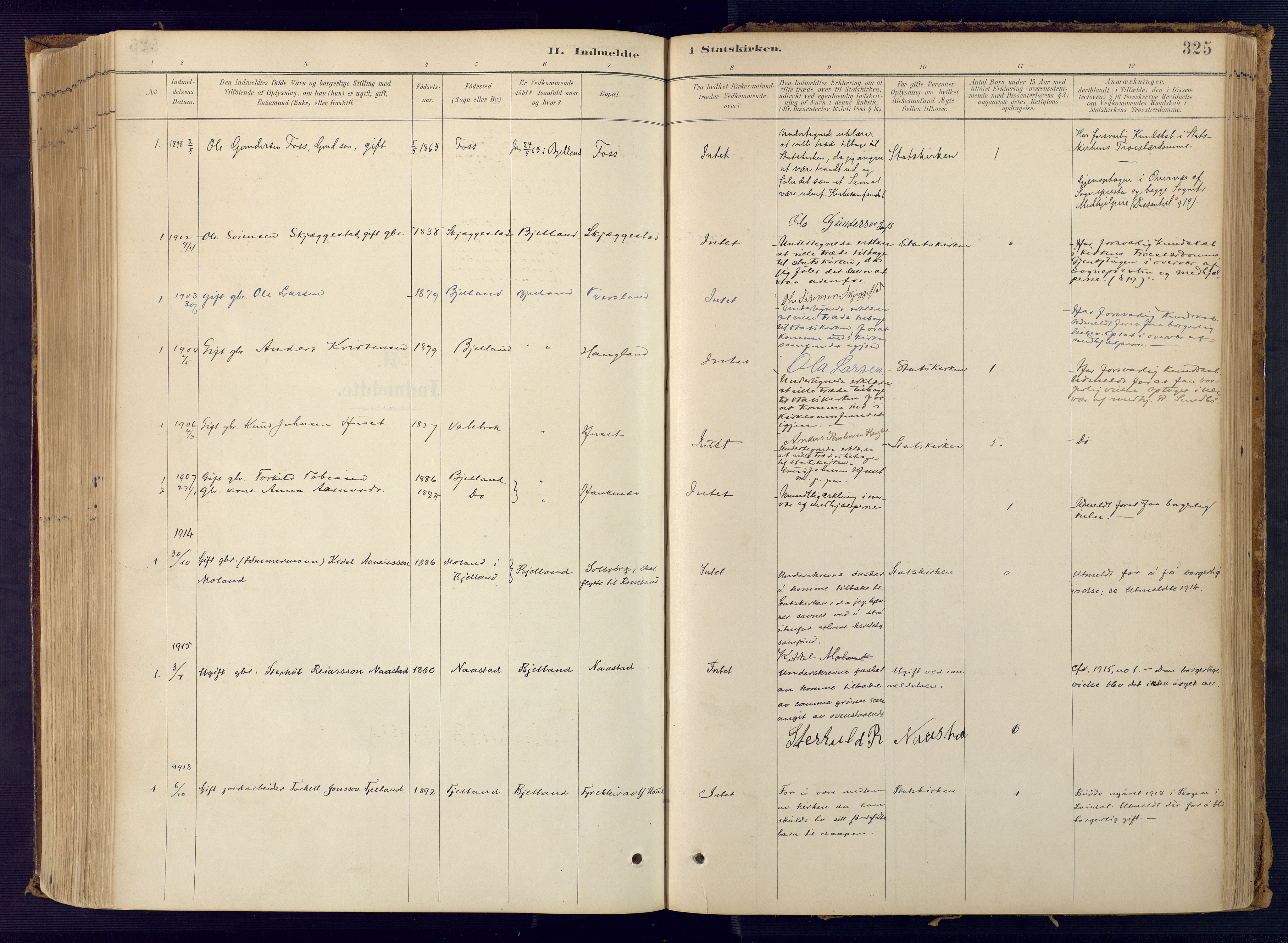 Bjelland sokneprestkontor, AV/SAK-1111-0005/F/Fa/Faa/L0004: Parish register (official) no. A 4, 1887-1923, p. 325