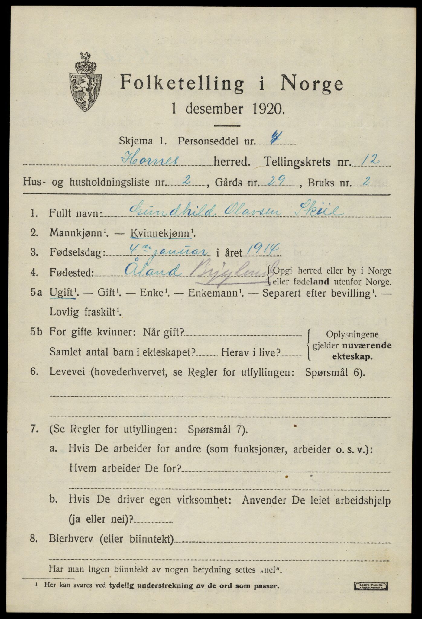 SAK, 1920 census for Hornnes, 1920, p. 2893