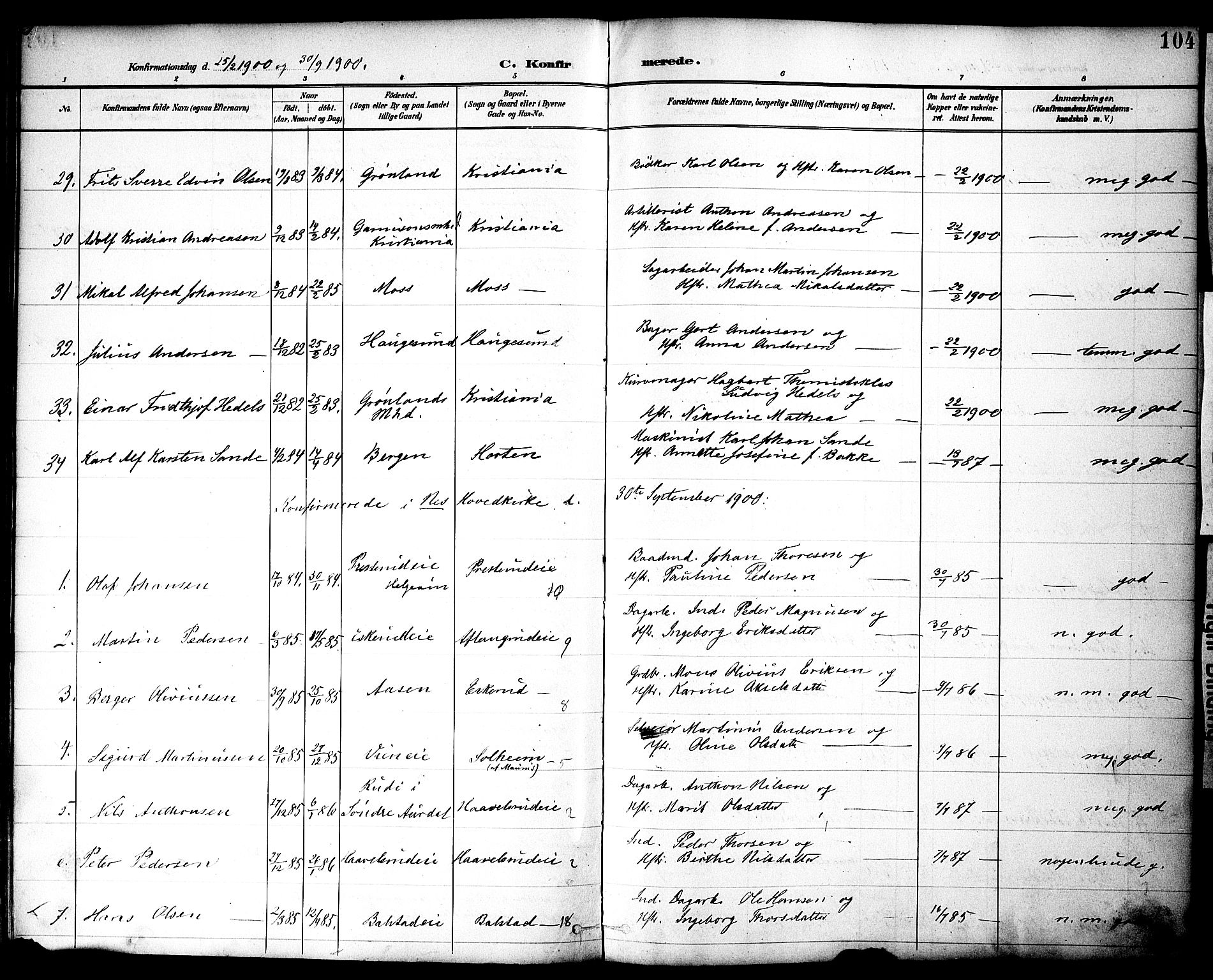 Nes prestekontor, Hedmark, AV/SAH-PREST-020/K/Ka/L0010: Parish register (official) no. 10, 1887-1905, p. 104