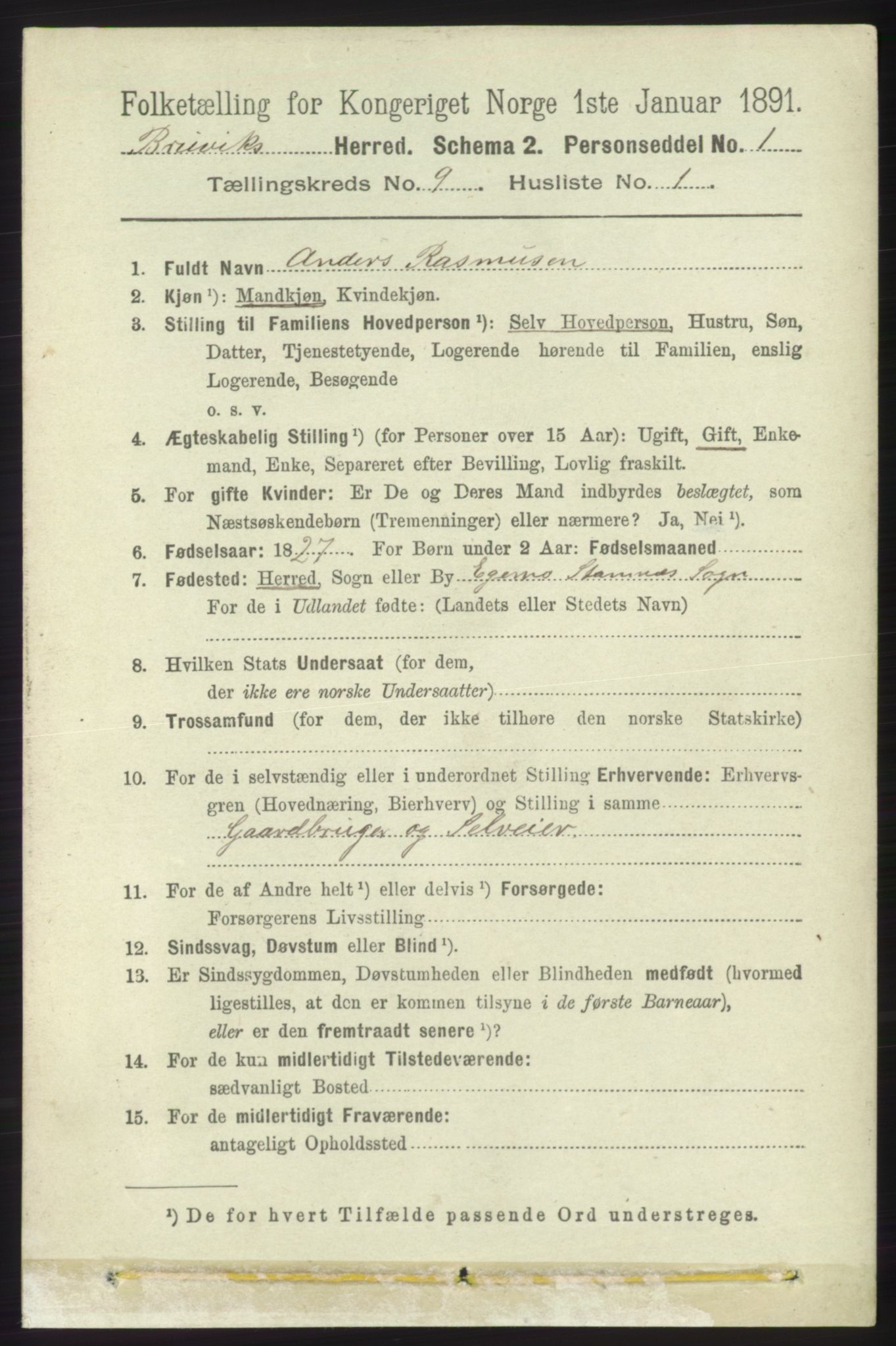 RA, 1891 census for 1251 Bruvik, 1891, p. 3259