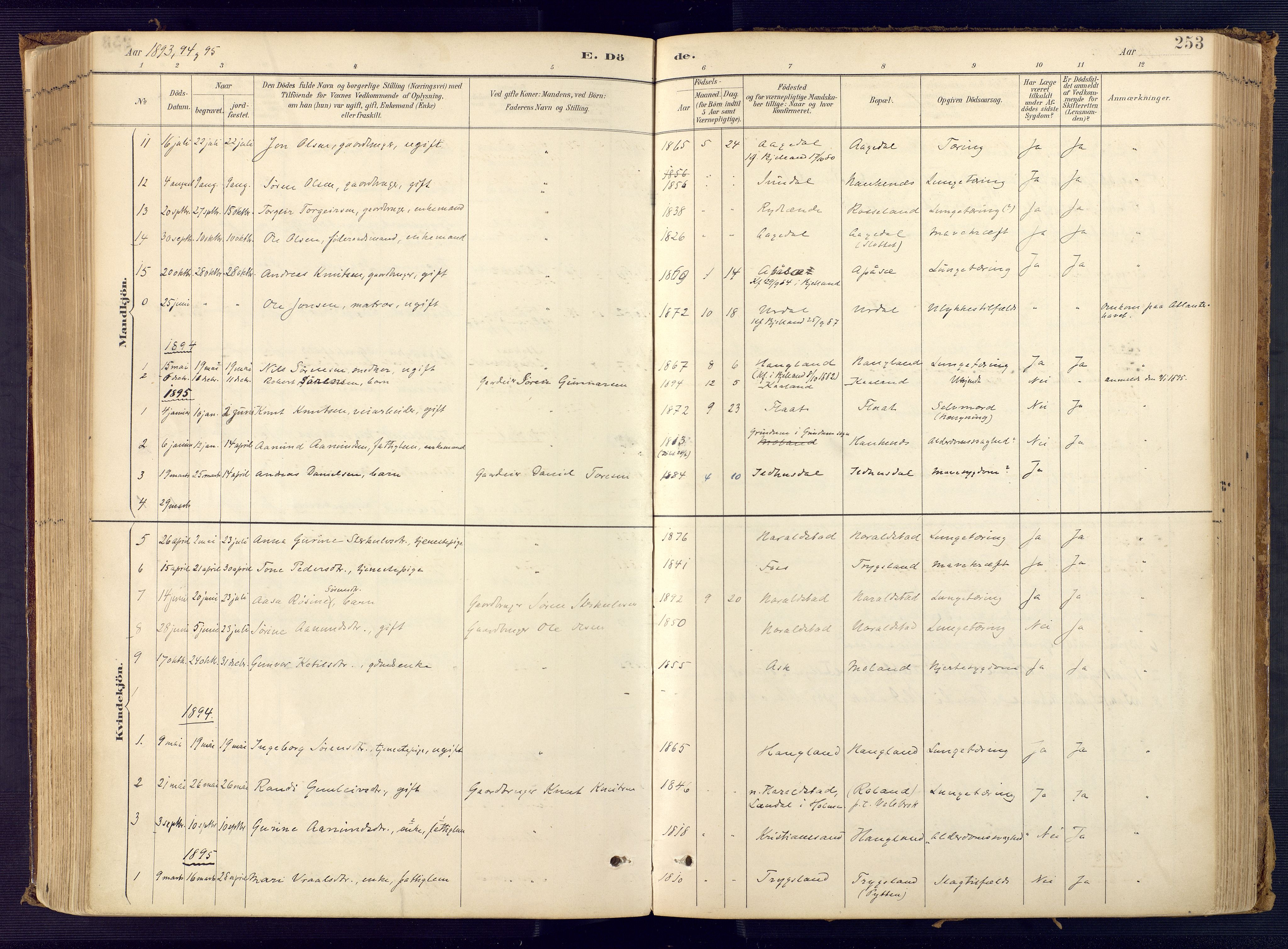 Bjelland sokneprestkontor, AV/SAK-1111-0005/F/Fa/Faa/L0004: Parish register (official) no. A 4, 1887-1923, p. 253