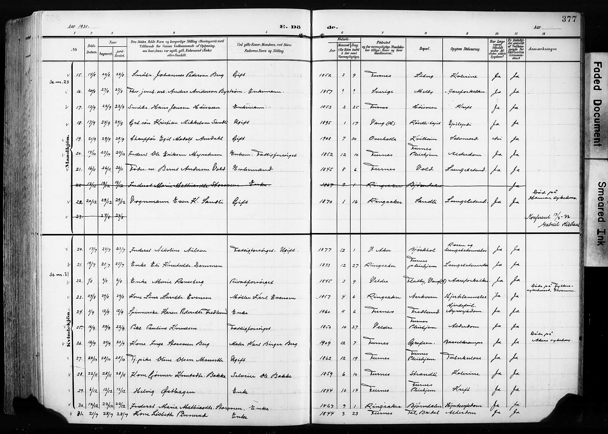 Furnes prestekontor, AV/SAH-PREST-012/L/La/L0001: Parish register (copy) no. 1, 1904-1933, p. 377