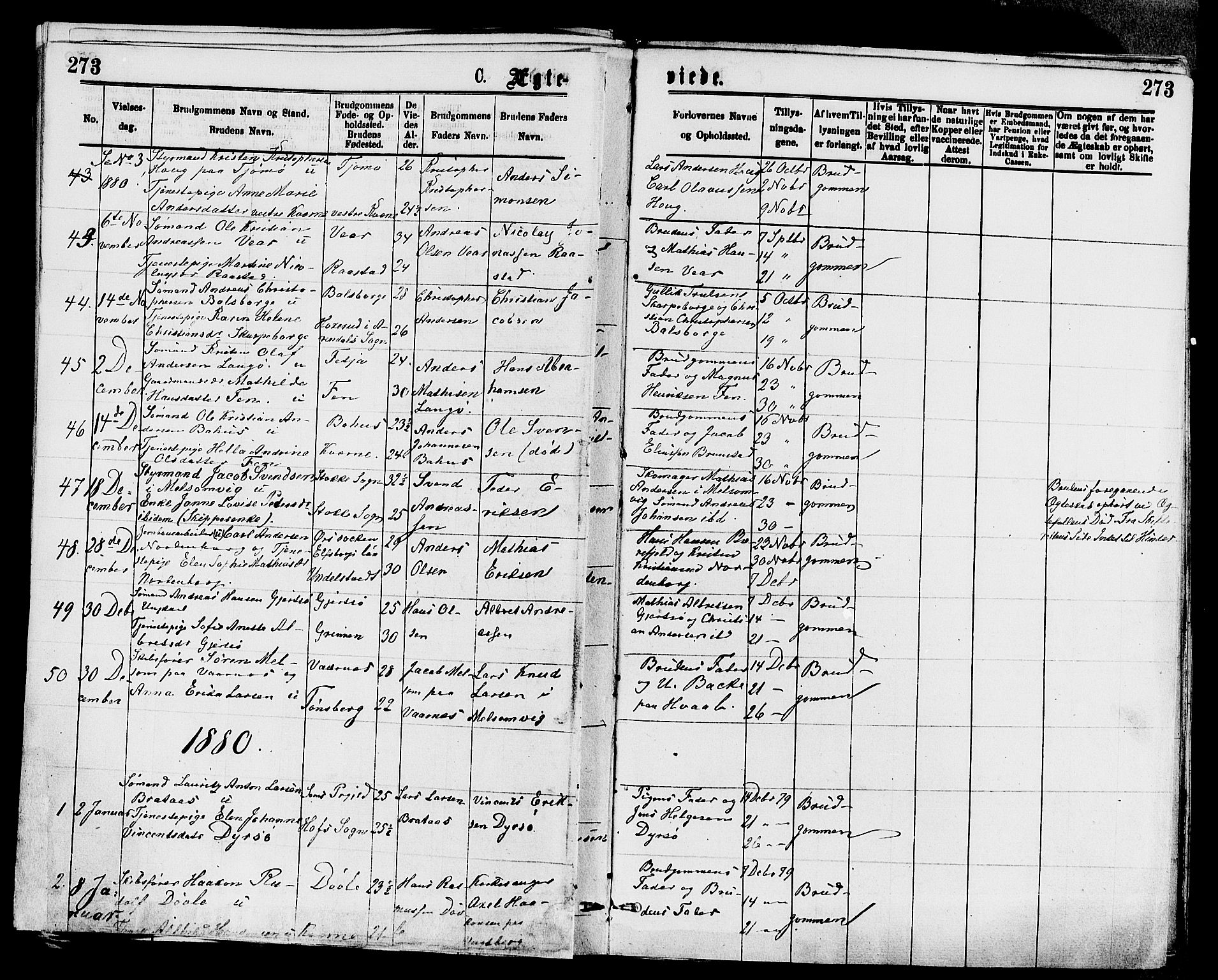 Stokke kirkebøker, AV/SAKO-A-320/F/Fa/L0009: Parish register (official) no. I 9, 1872-1883, p. 273