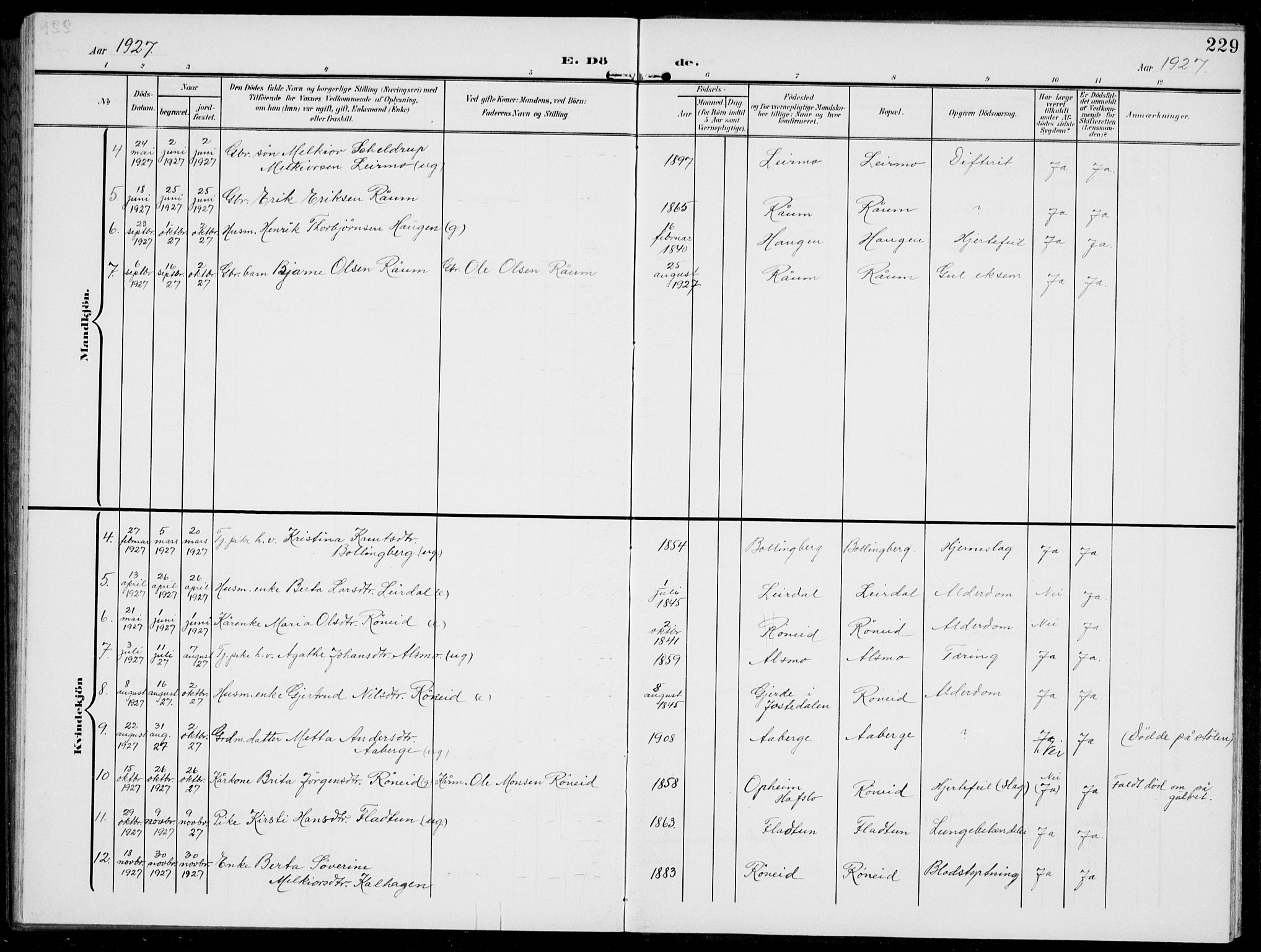 Jostedal sokneprestembete, AV/SAB-A-80601/H/Hab/Habc/L0001: Parish register (copy) no. C 1, 1903-1939, p. 229