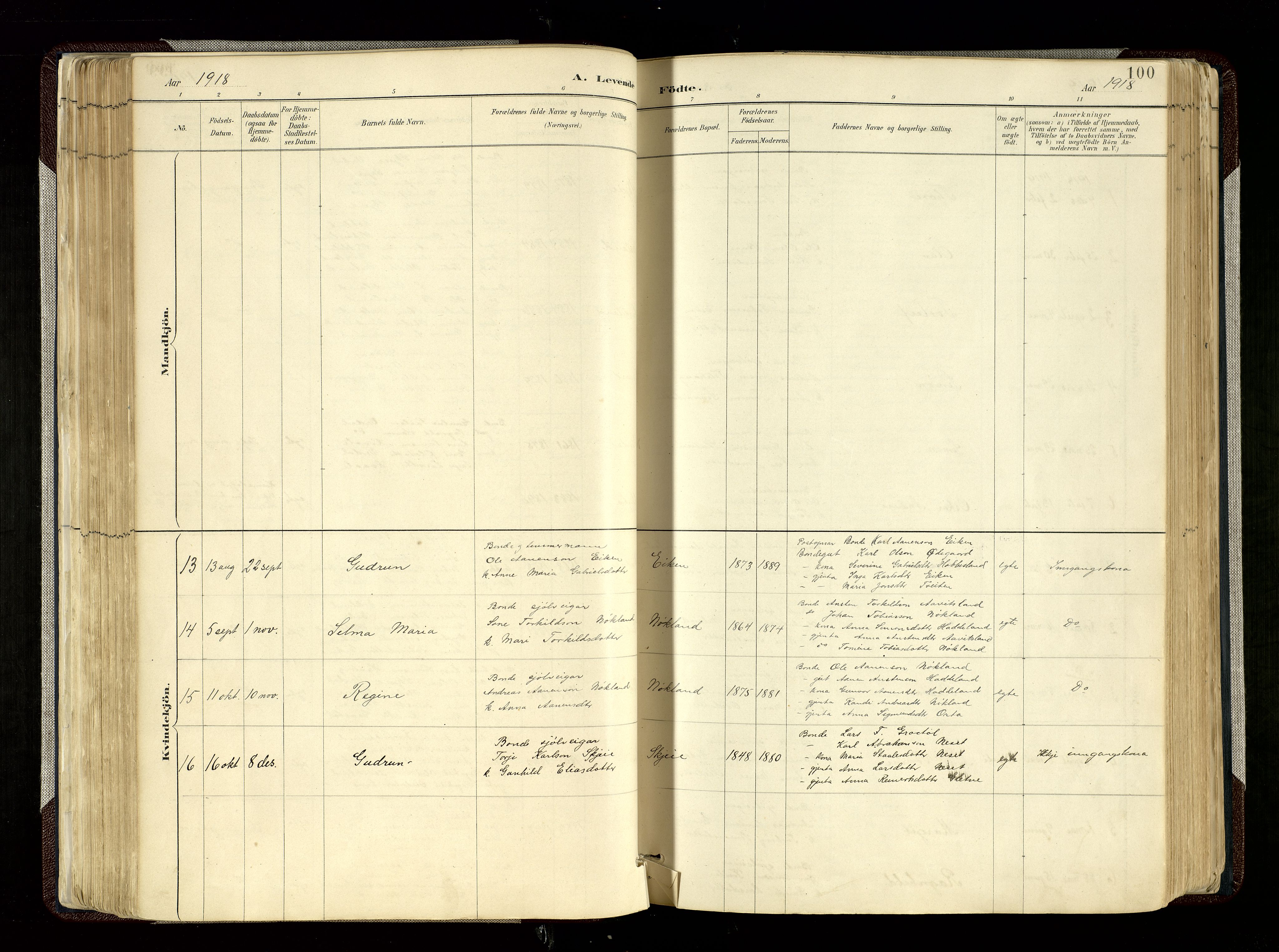 Hægebostad sokneprestkontor, SAK/1111-0024/F/Fa/Fab/L0004: Parish register (official) no. A 4, 1887-1929, p. 100