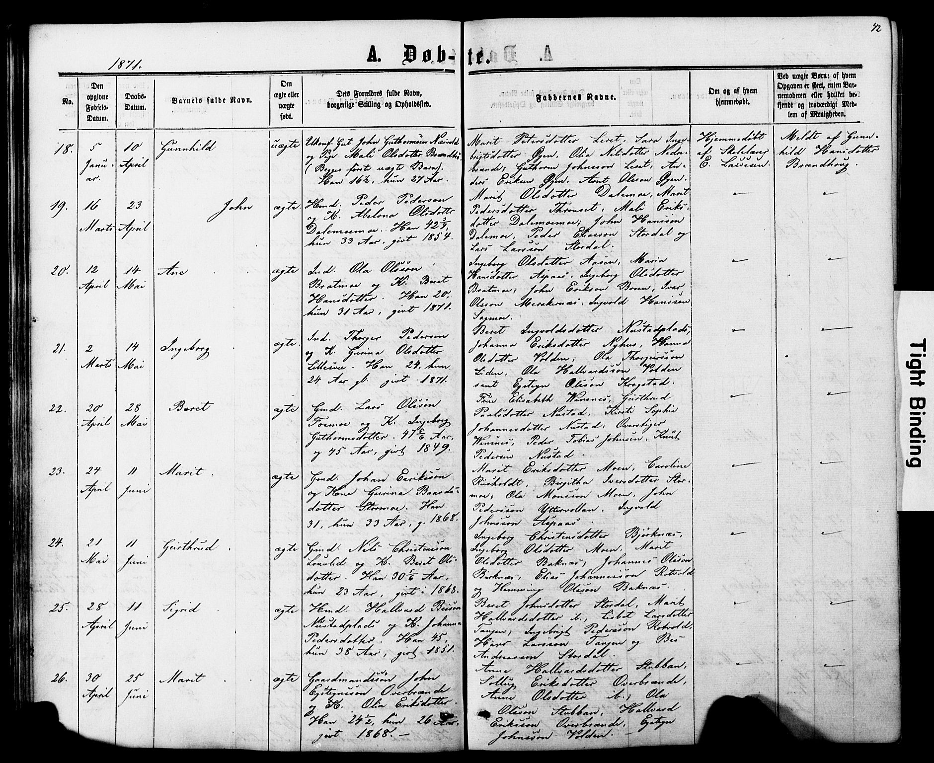 Ministerialprotokoller, klokkerbøker og fødselsregistre - Nord-Trøndelag, AV/SAT-A-1458/706/L0049: Parish register (copy) no. 706C01, 1864-1895, p. 42