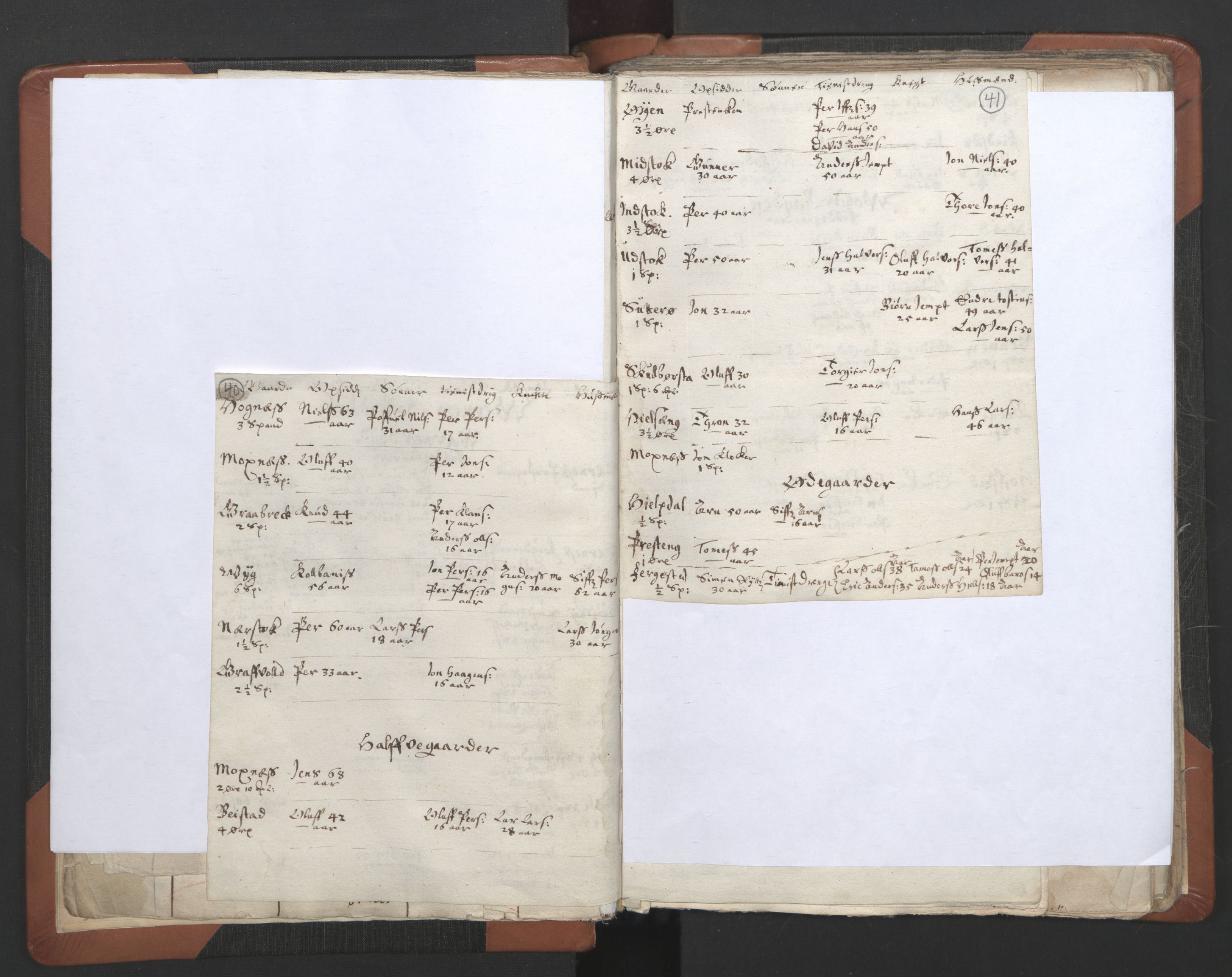 RA, Vicar's Census 1664-1666, no. 32: Innherad deanery, 1664-1666, p. 40-41