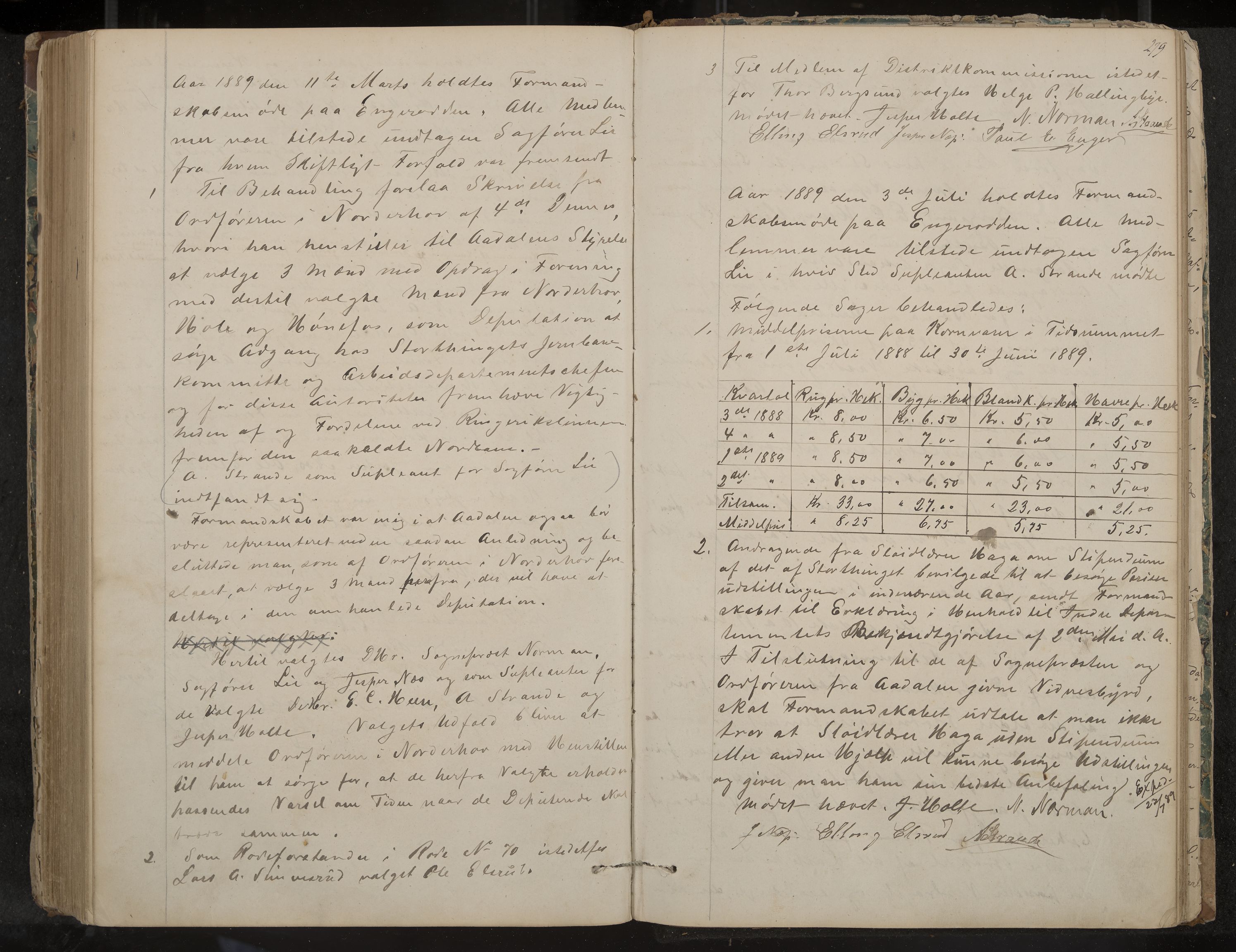 Ådal formannskap og sentraladministrasjon, IKAK/0614021/A/Aa/L0001: Møtebok, 1858-1891, p. 279