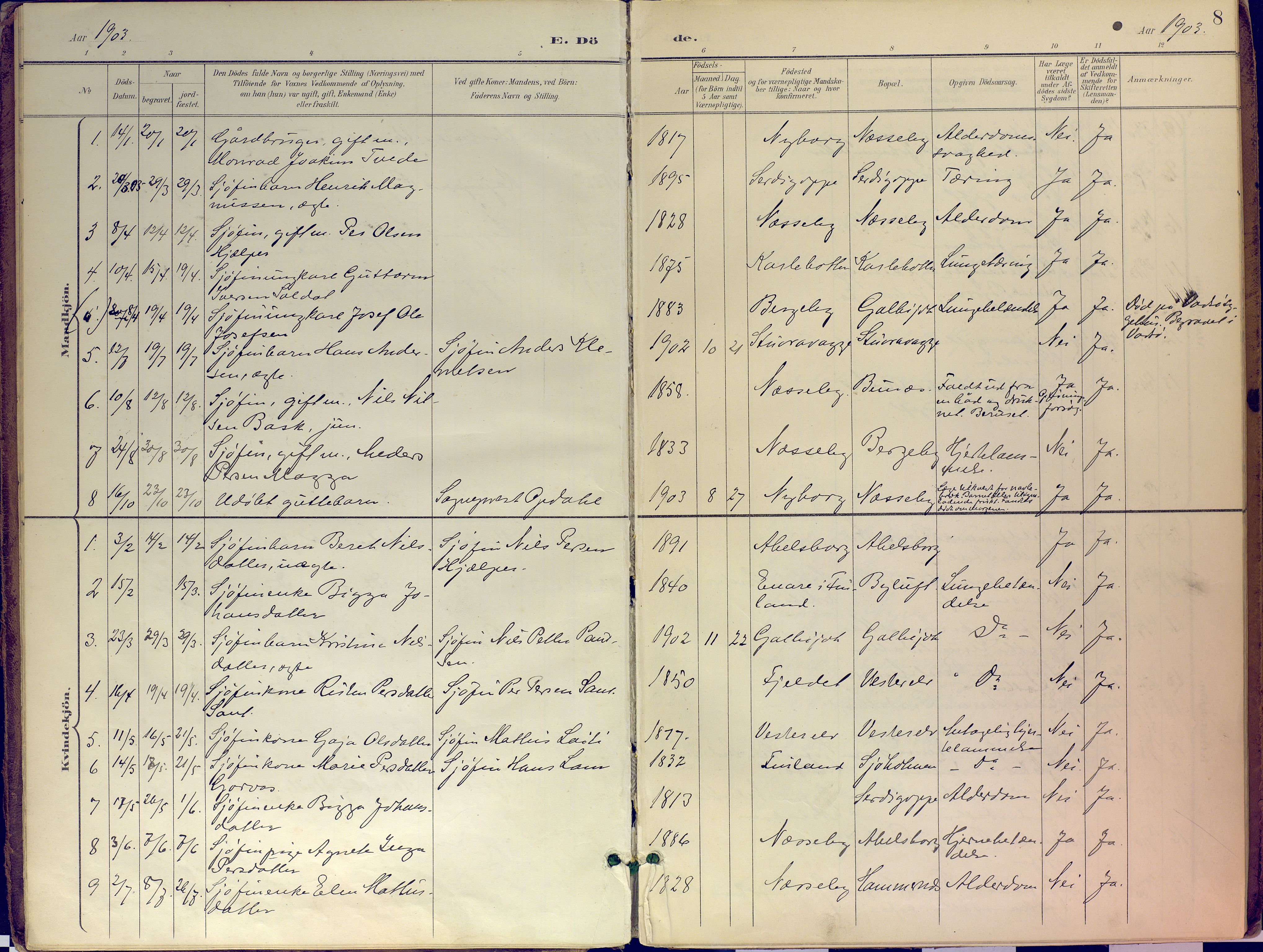 Nesseby sokneprestkontor, SATØ/S-1330/H/Ha/L0007kirke: Parish register (official) no. 7, 1898-1921, p. 8