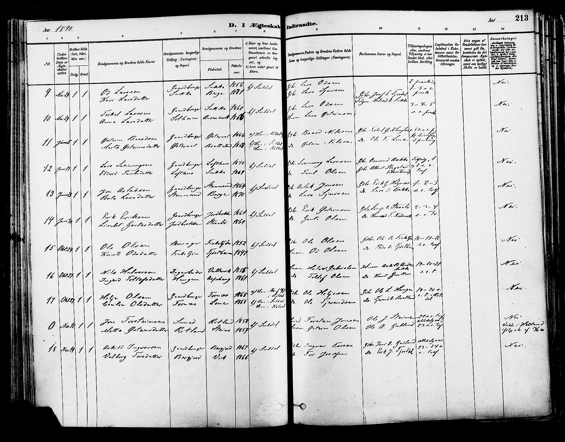 Suldal sokneprestkontor, AV/SAST-A-101845/01/IV/L0011: Parish register (official) no. A 11, 1878-1900, p. 213