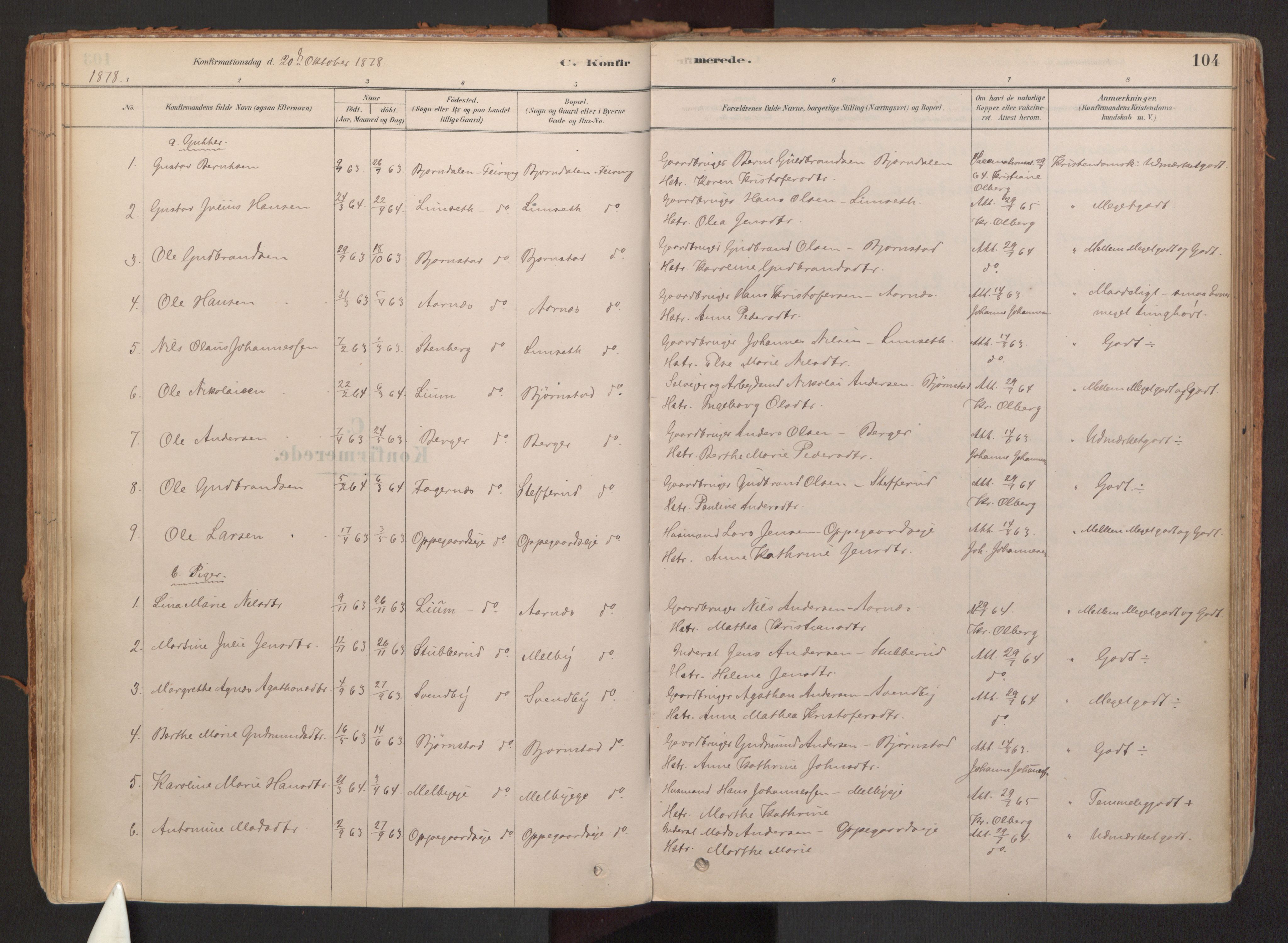 Hurdal prestekontor Kirkebøker, SAO/A-10889/F/Fb/L0003: Parish register (official) no. II 3, 1878-1920, p. 104