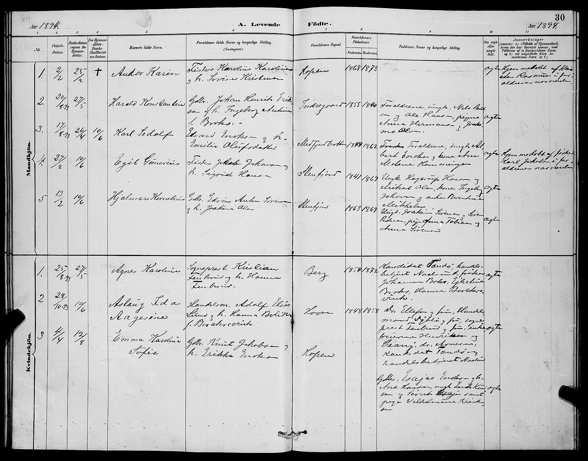 Berg sokneprestkontor, SATØ/S-1318/G/Ga/Gab/L0004klokker: Parish register (copy) no. 4, 1887-1897, p. 30